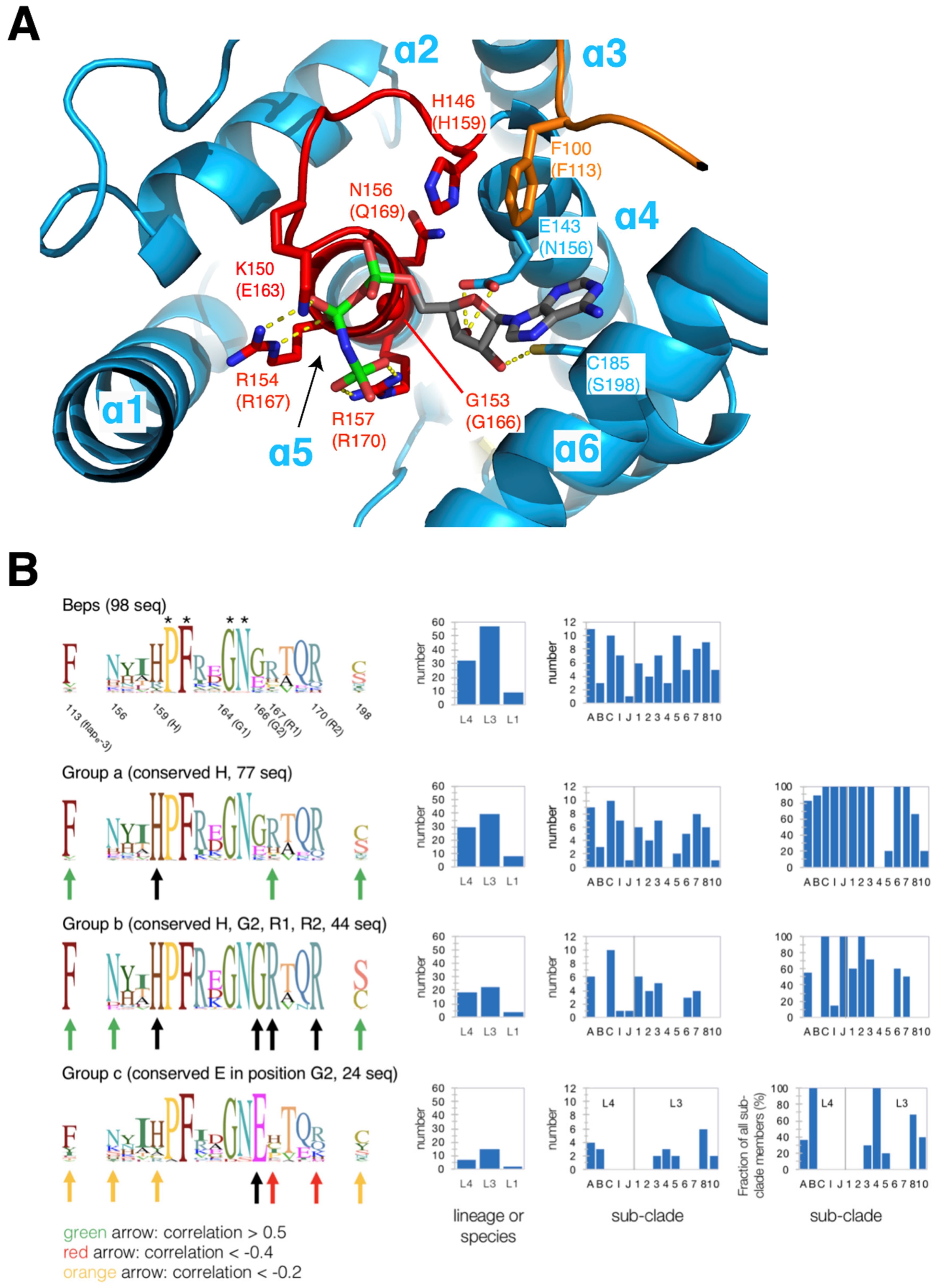 Microorganisms 09 01645 g006 Microorganisms 09 01645 g006