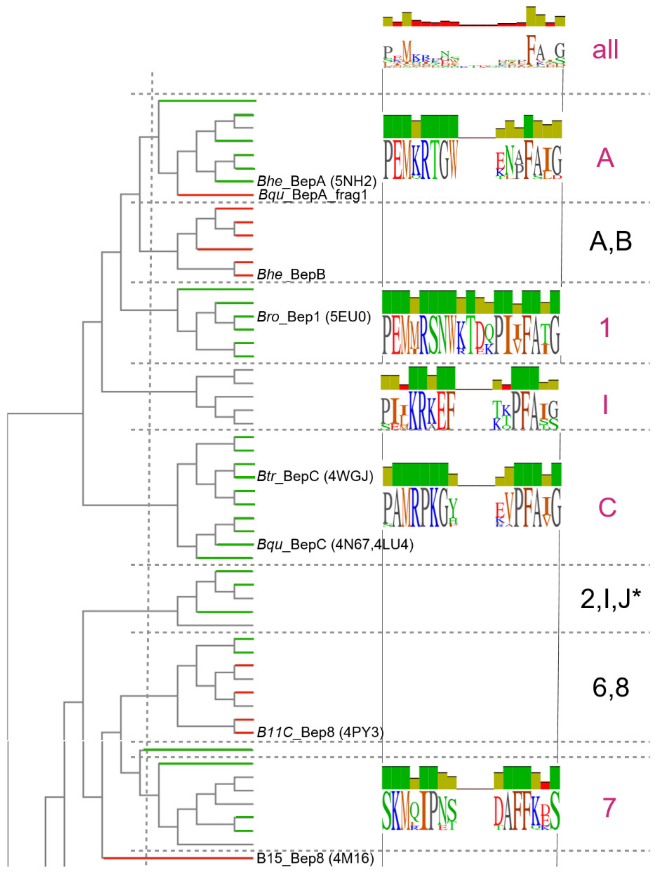 Microorganisms 09 01645 g008 Microorganisms 09 01645 g008