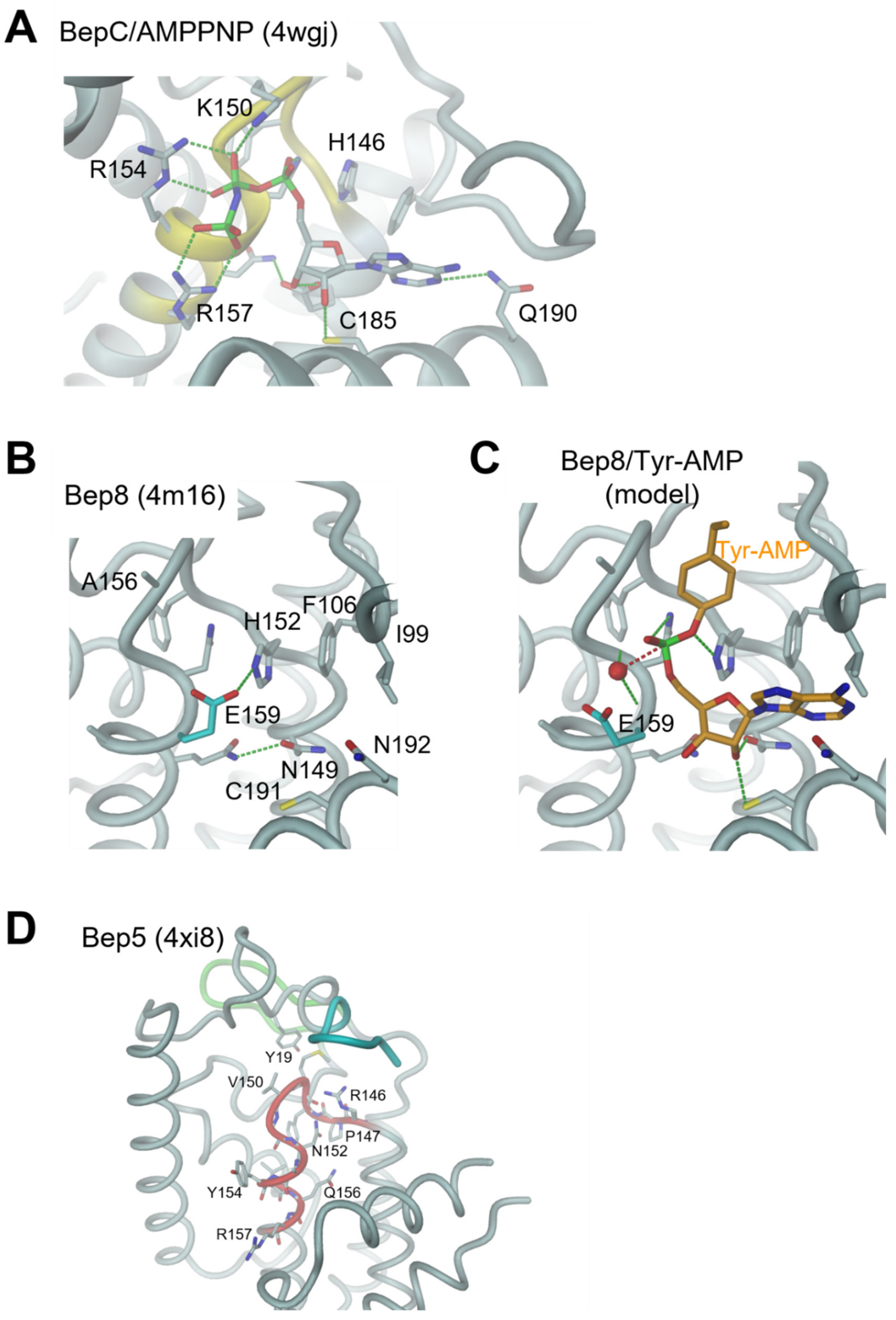 Microorganisms 09 01645 g009 Microorganisms 09 01645 g009