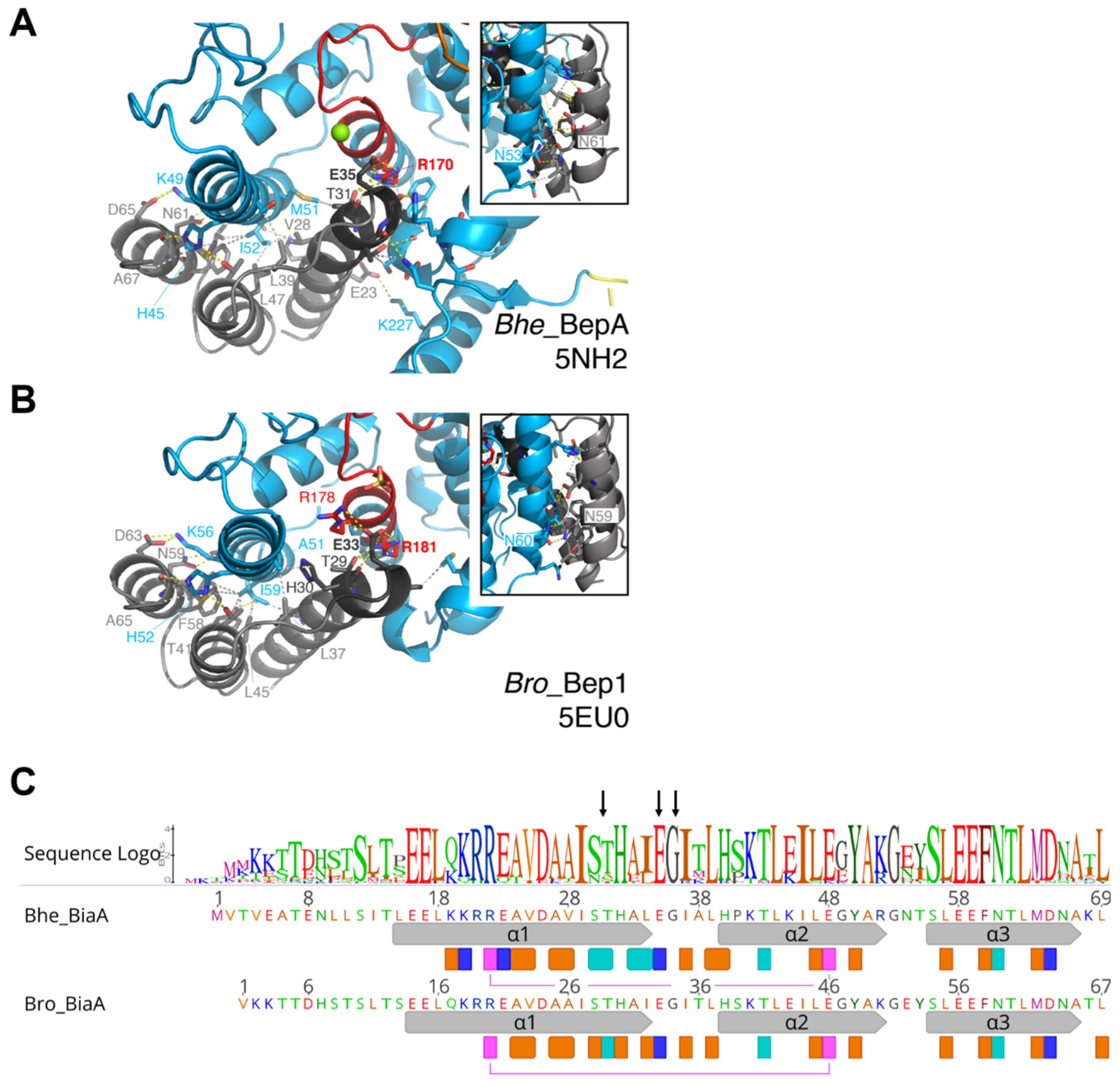 Microorganisms 09 01645 g010 Microorganisms 09 01645 g010