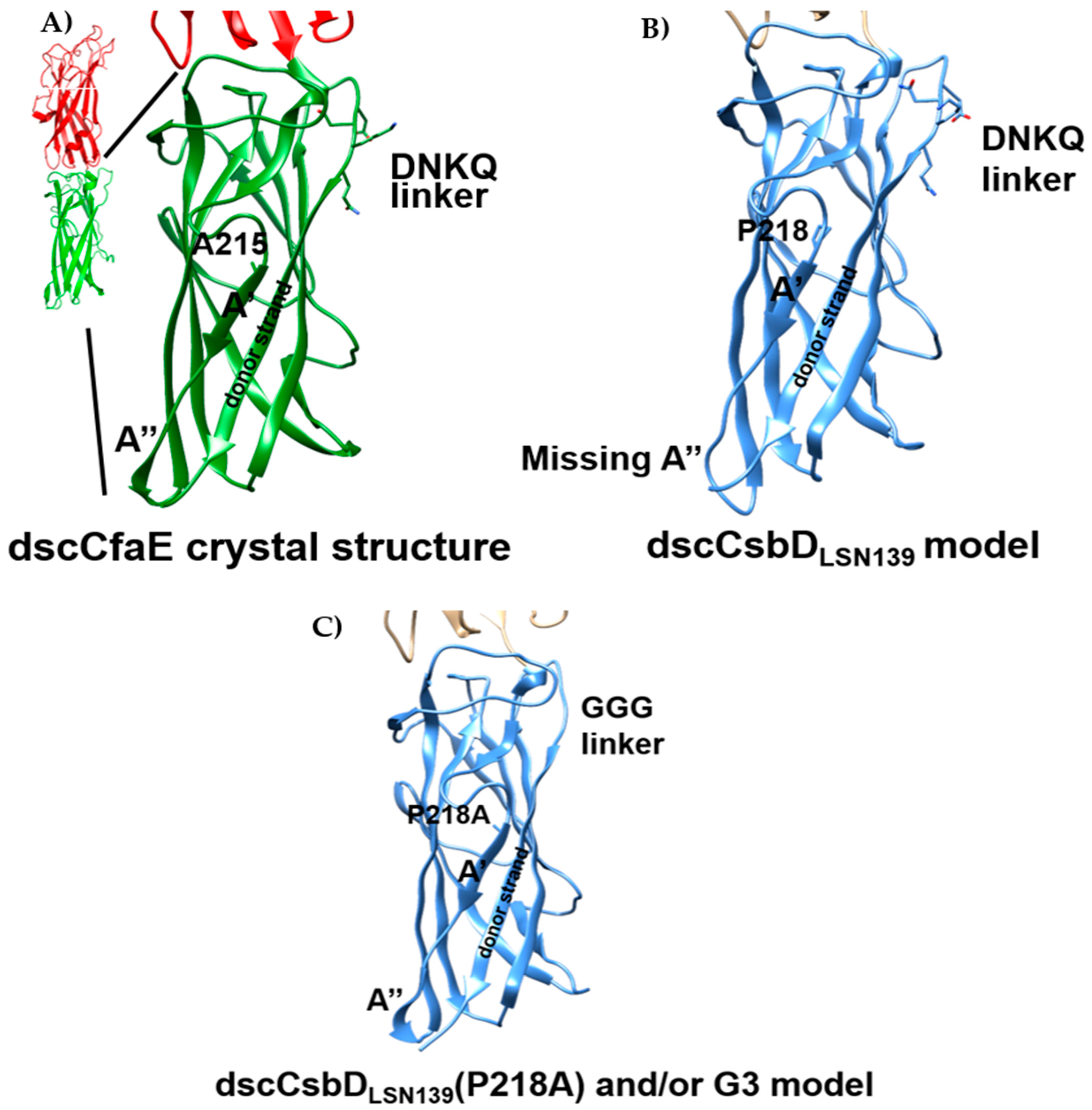 Microorganisms 09 01646 g001