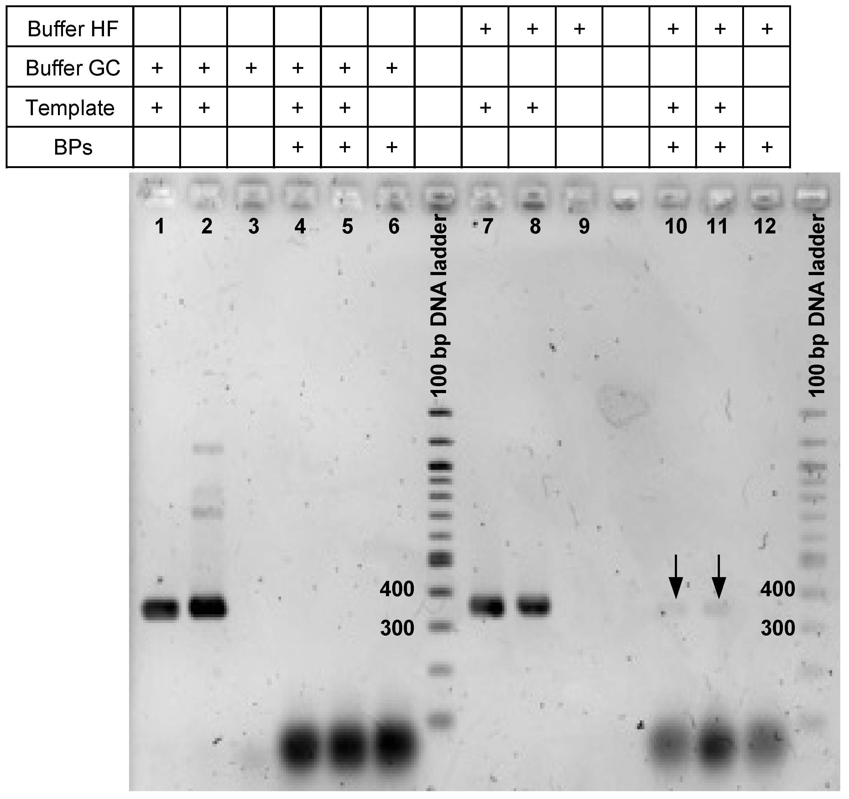 Microorganisms 09 01649 g001