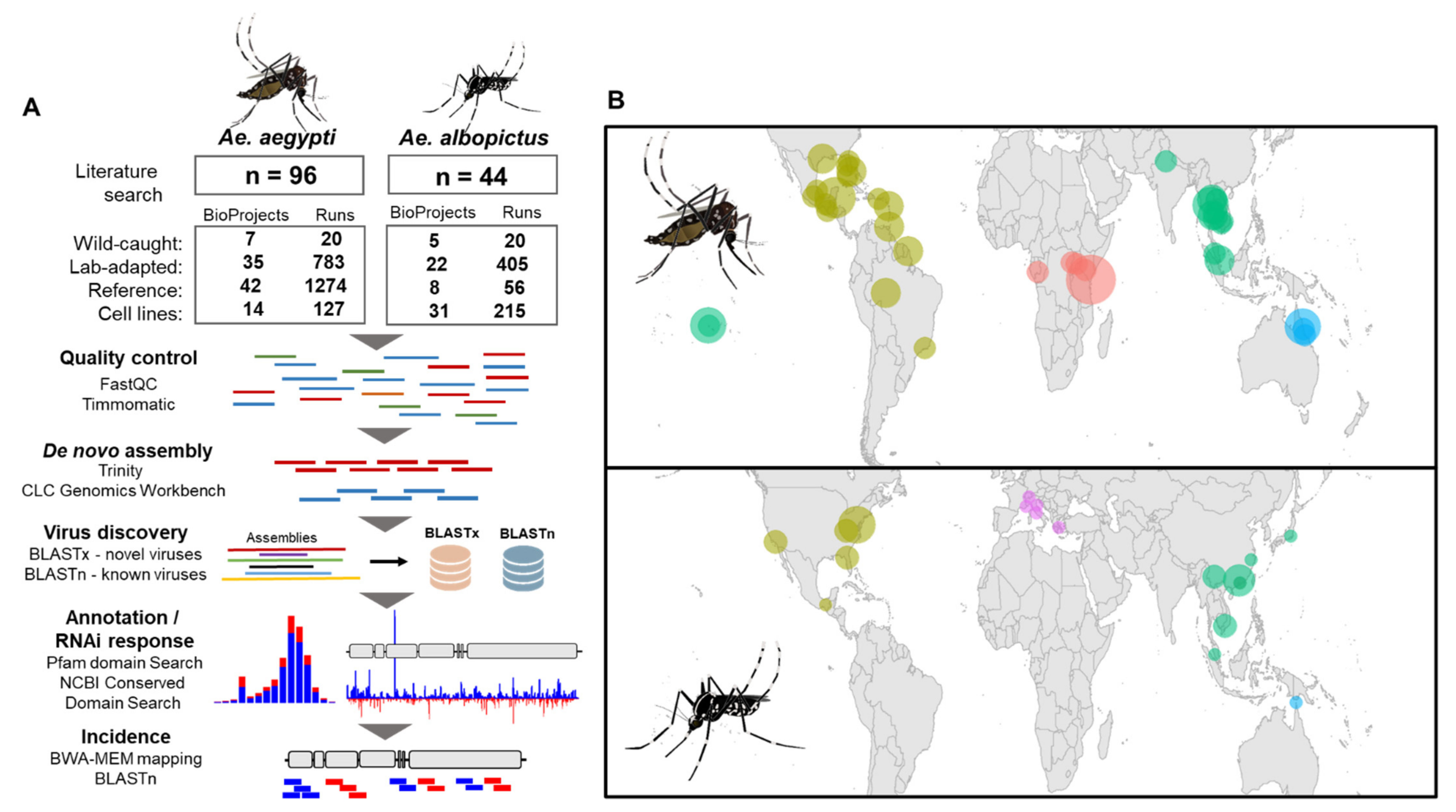 Microorganisms 09 01653 g001 Microorganisms 09 01653 g001