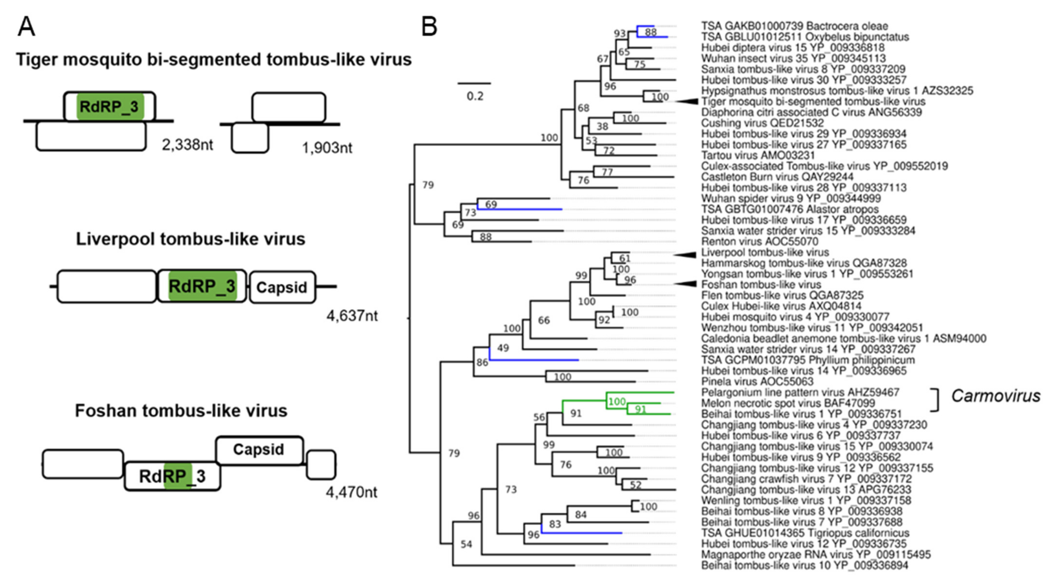 Microorganisms 09 01653 g005 Microorganisms 09 01653 g005
