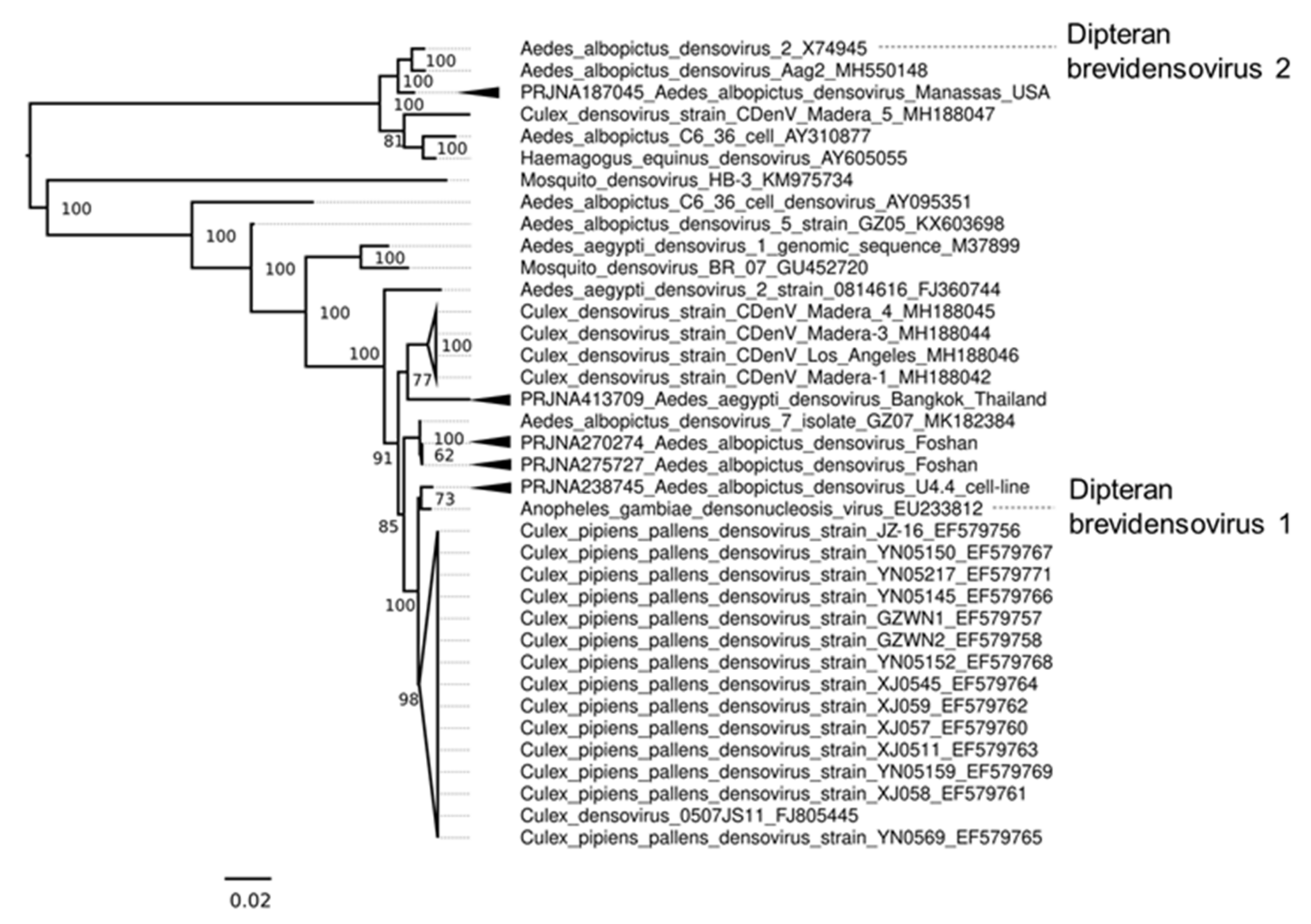 Microorganisms 09 01653 g007 Microorganisms 09 01653 g007