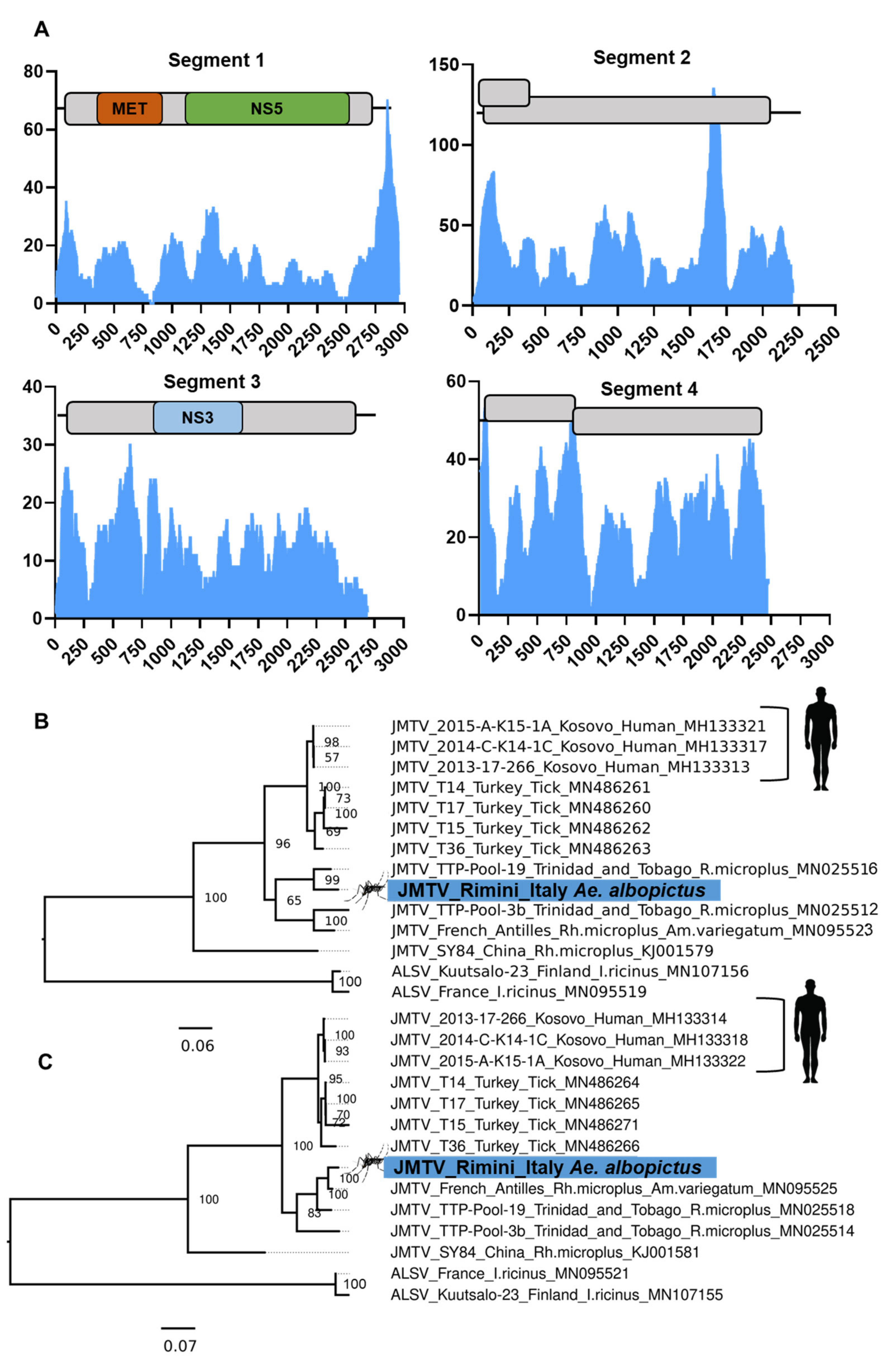 Microorganisms 09 01653 g008 Microorganisms 09 01653 g008