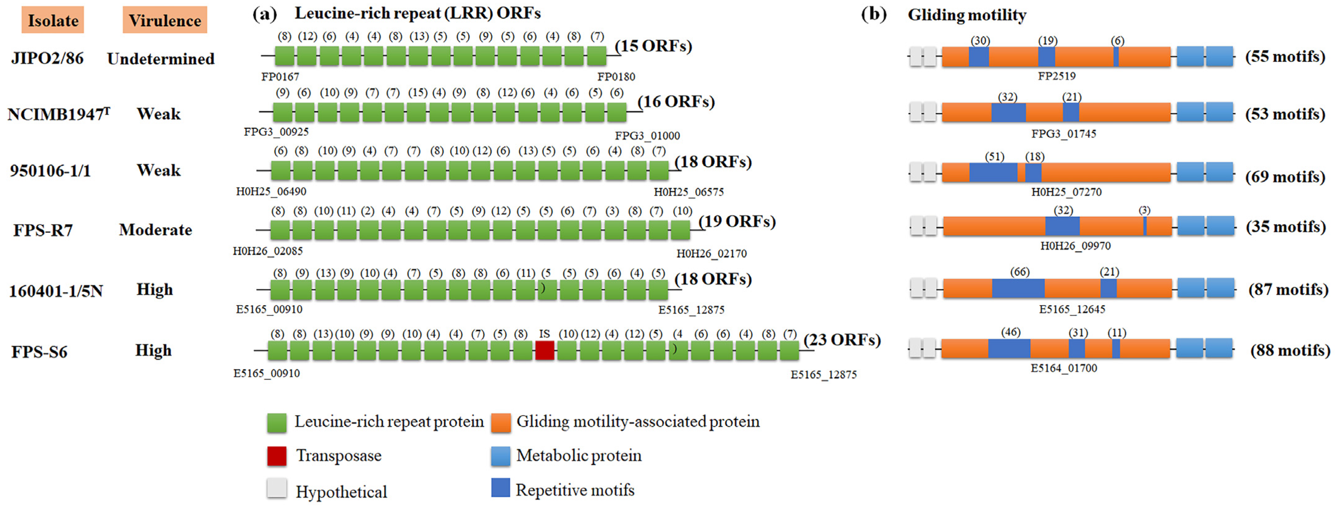 Microorganisms 09 01658 g004 Microorganisms 09 01658 g004