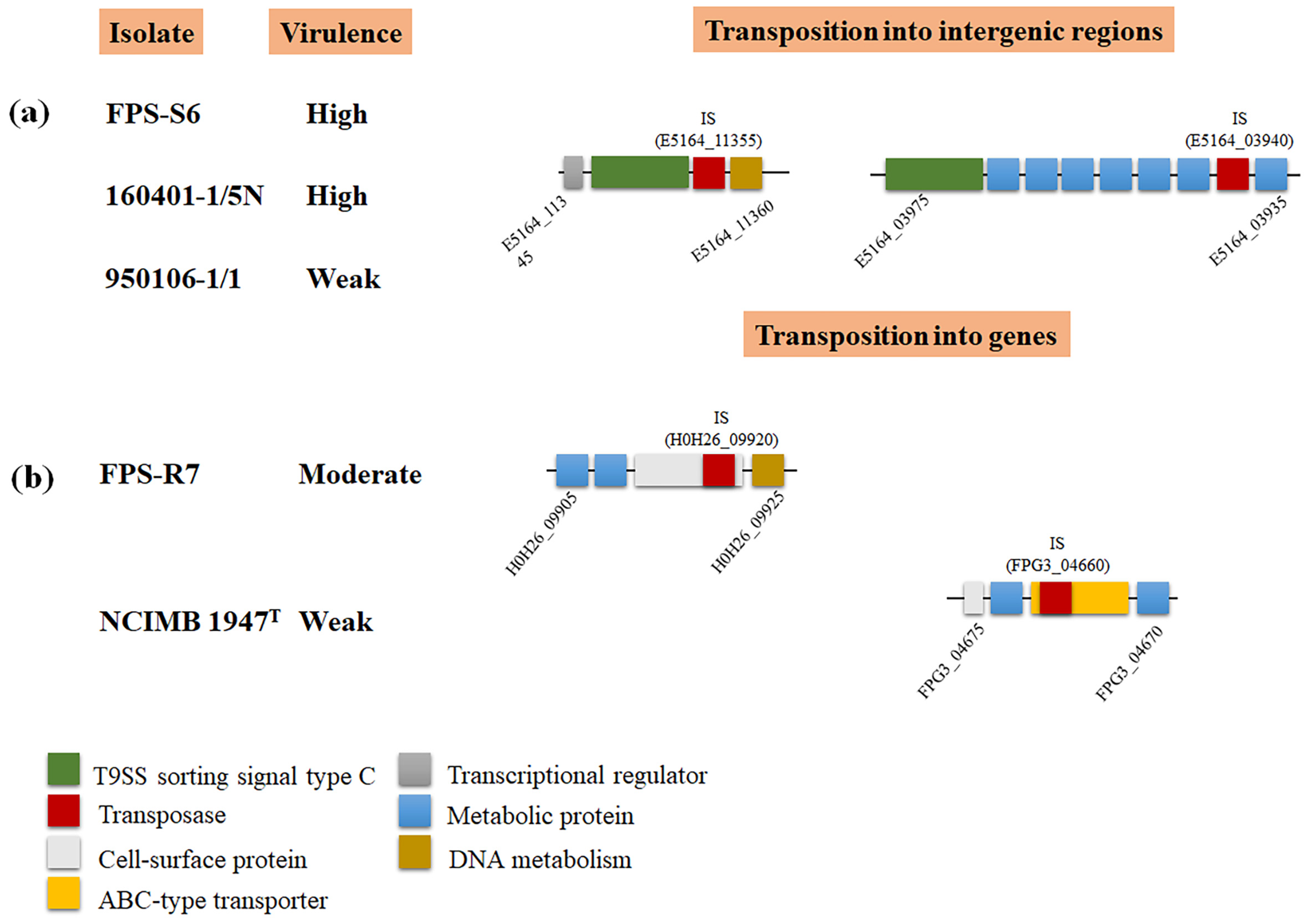 Microorganisms 09 01658 g005 Microorganisms 09 01658 g005