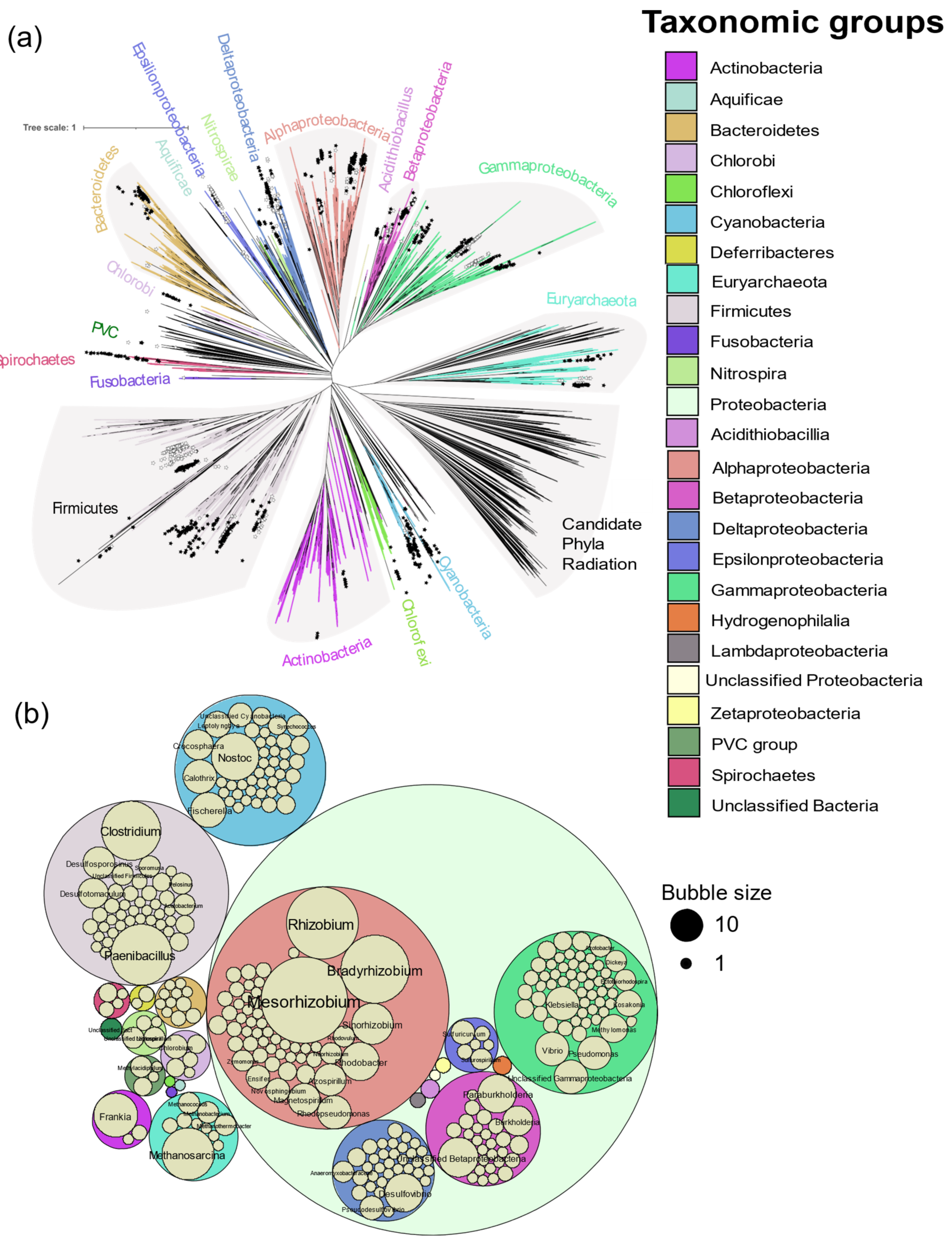 Microorganisms 09 01662 g003
