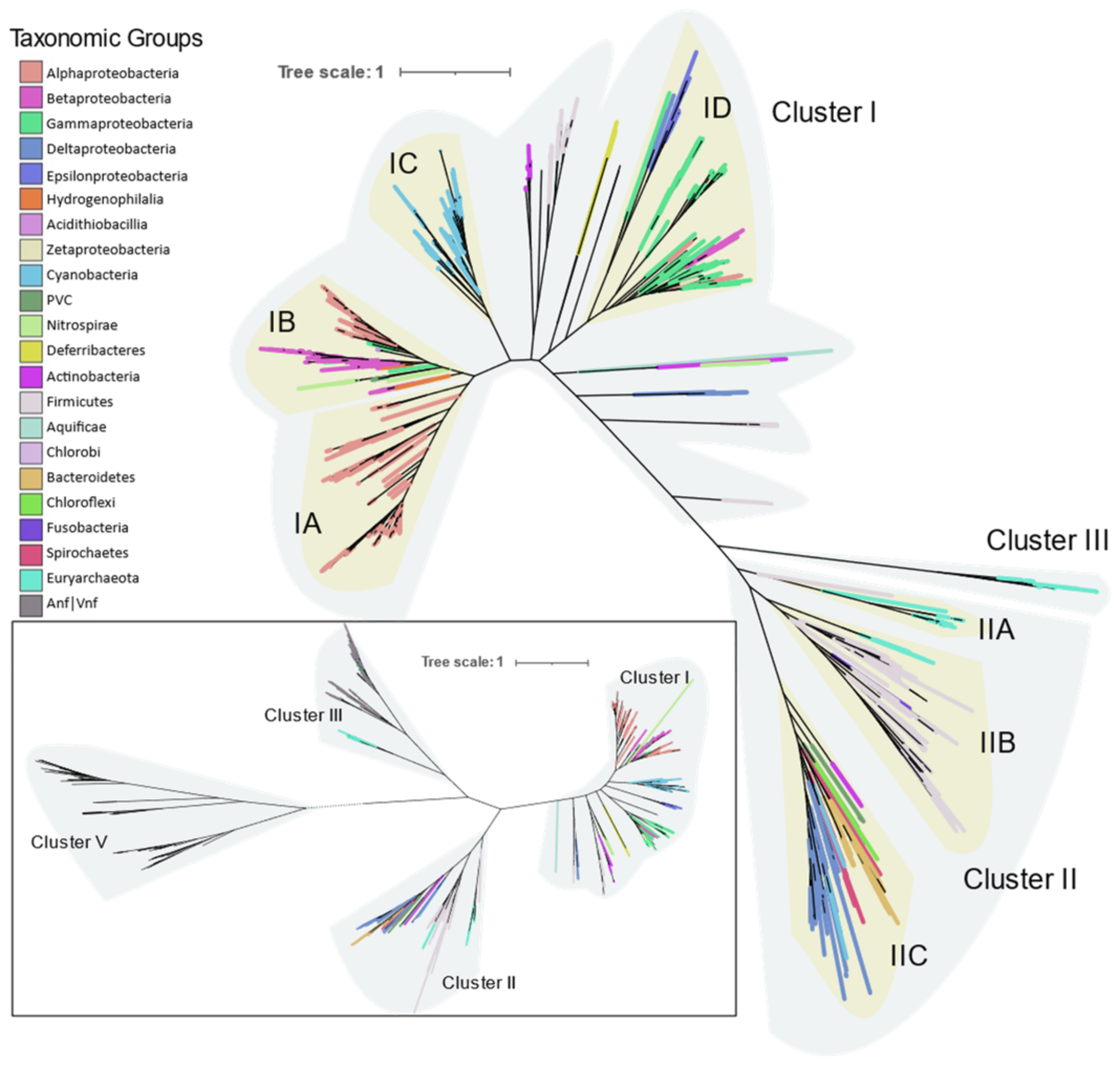 Microorganisms 09 01662 g004