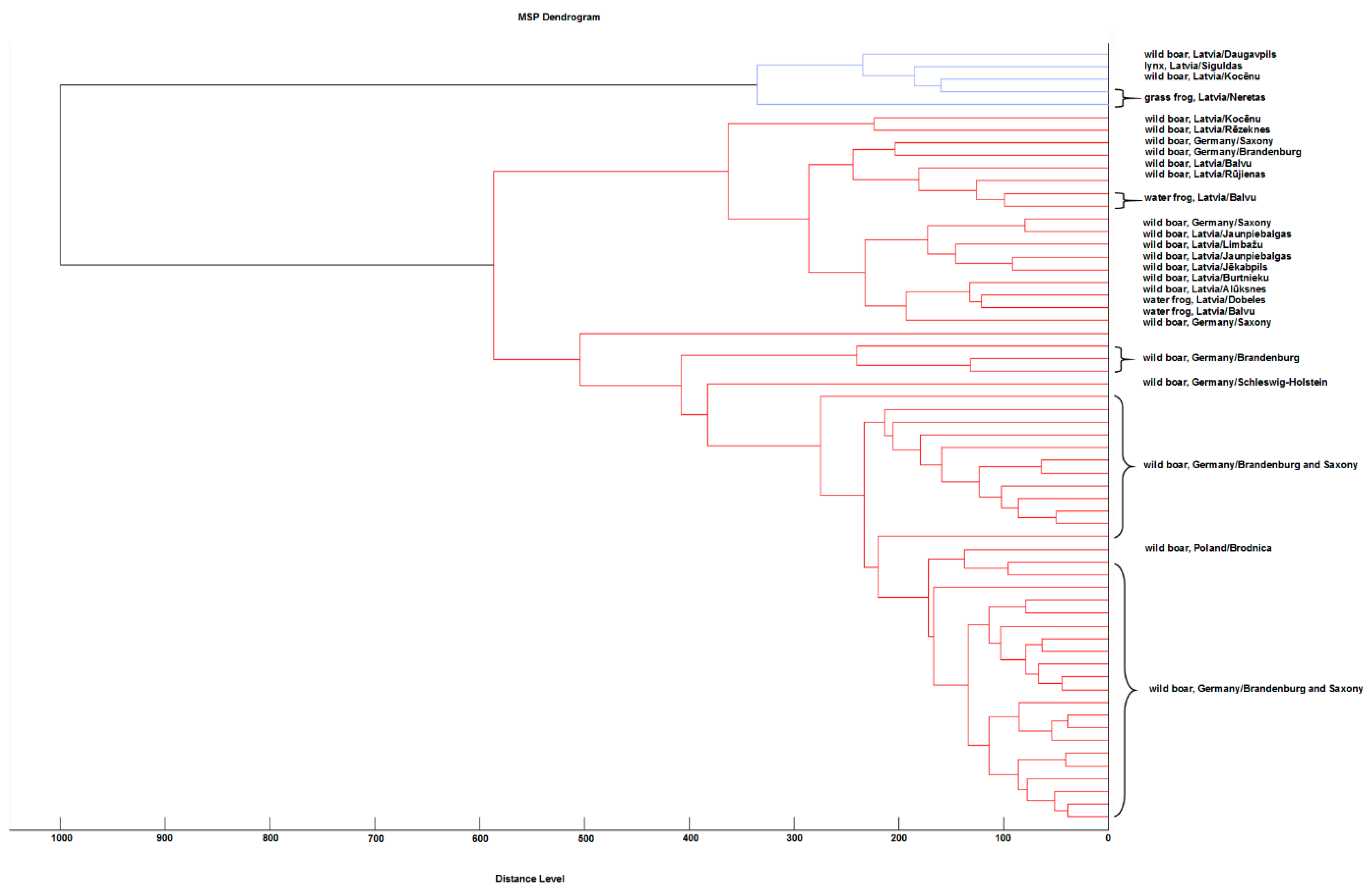 Microorganisms 09 01664 g002