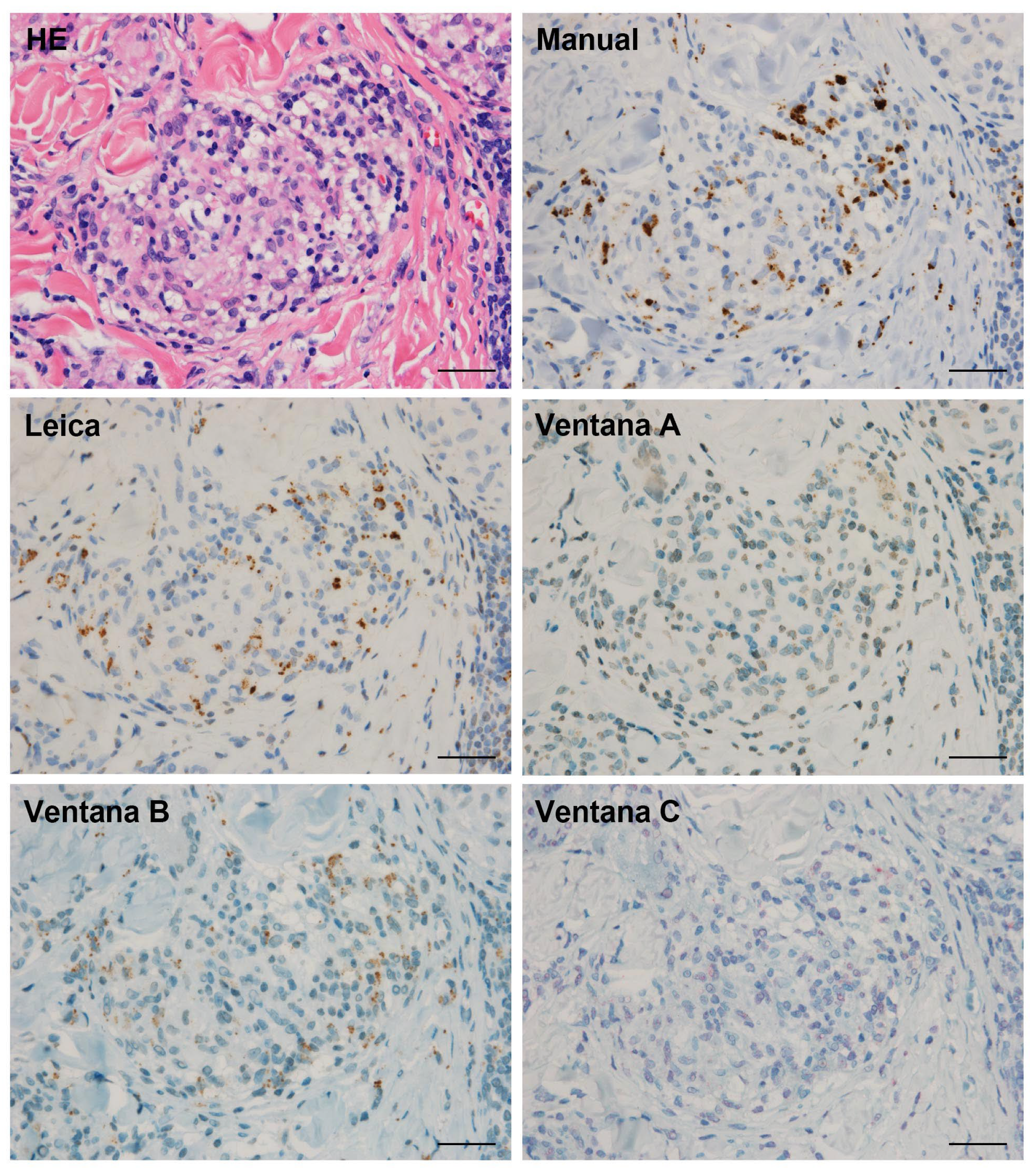 Microorganisms 09 01668 g005 550