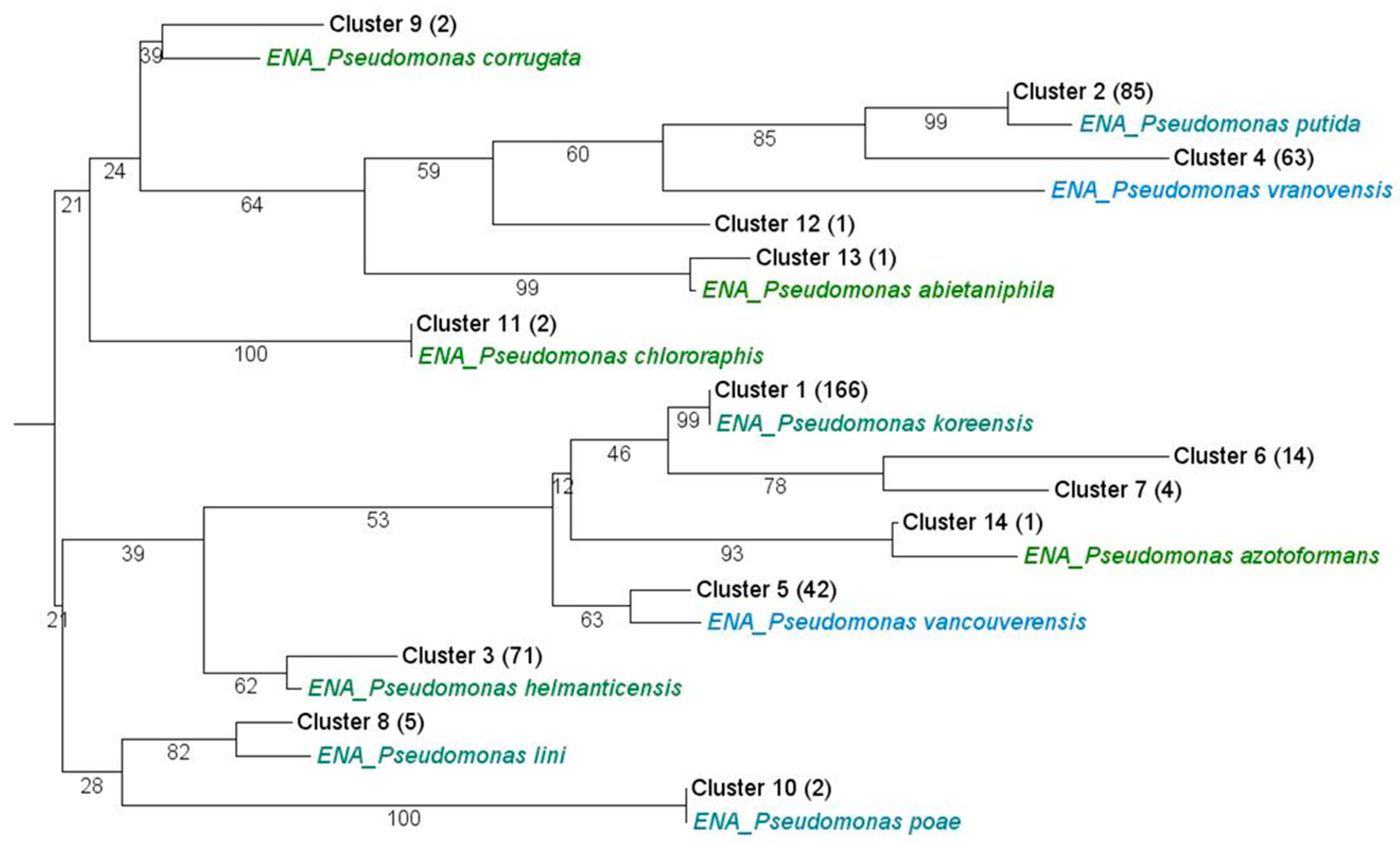 Microorganisms 09 01677 g001