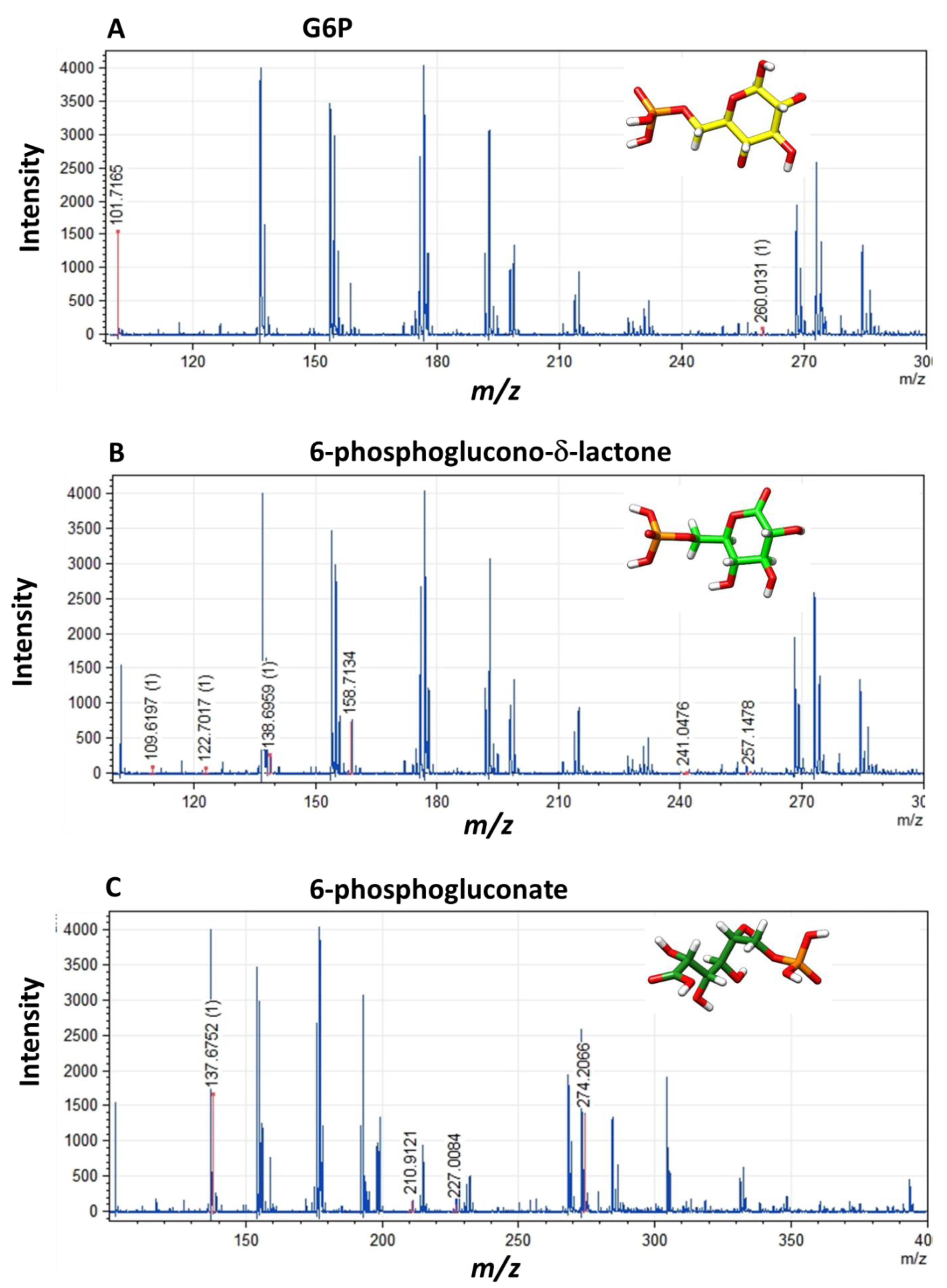 Microorganisms 09 01678 g006