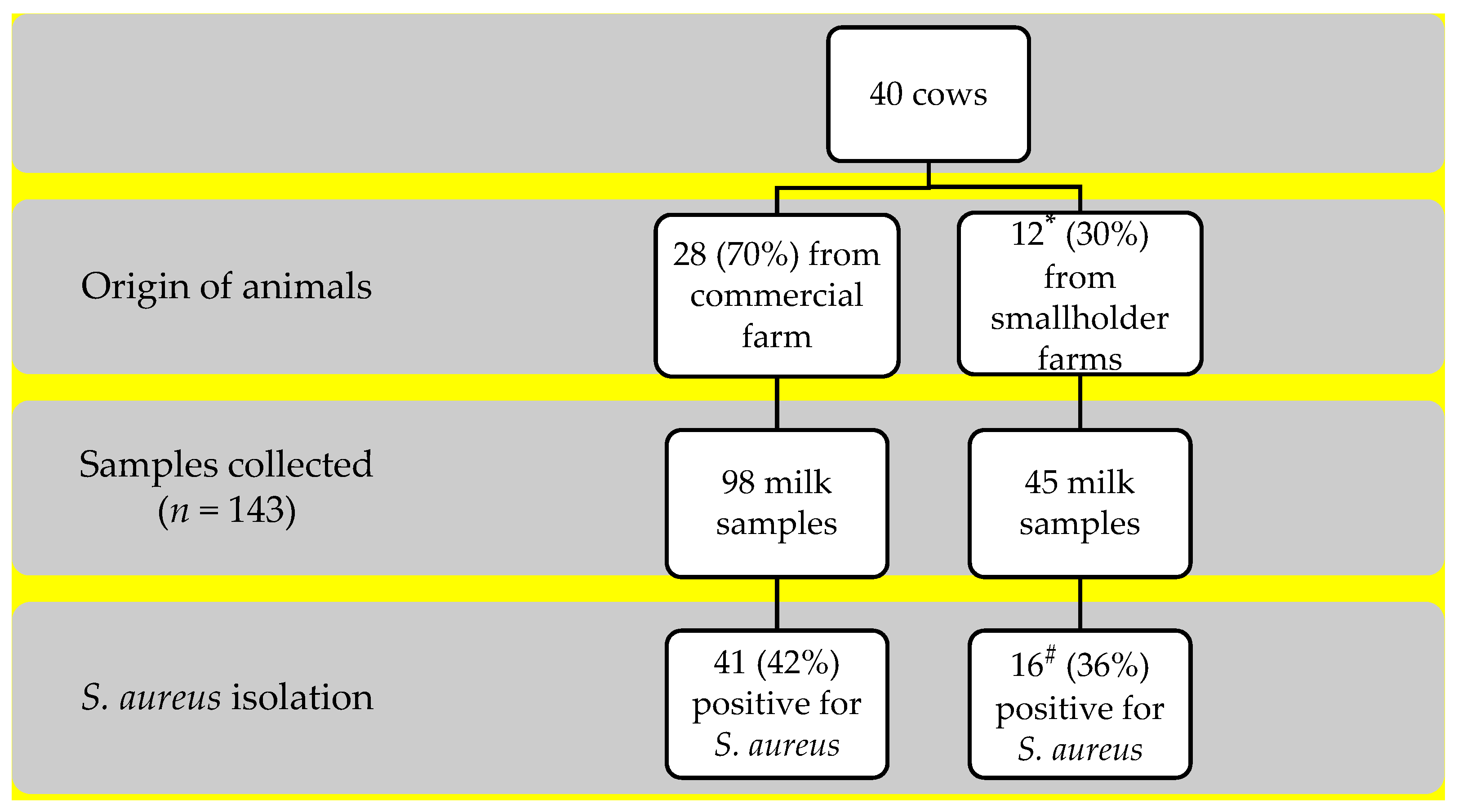 Microorganisms | Free Full-Text | Molecular Characterization of Staphylococcus aureus Isolated from Raw Milk Samples of Dairy Cows in Manhiça District, Southern Mozambique Microorganisms | Free Full-Text | Molecular Characterization of Staphylococcus aureus Isolated from Raw Milk Samples of Dairy Cows in Manhiça District, Southern Mozambique