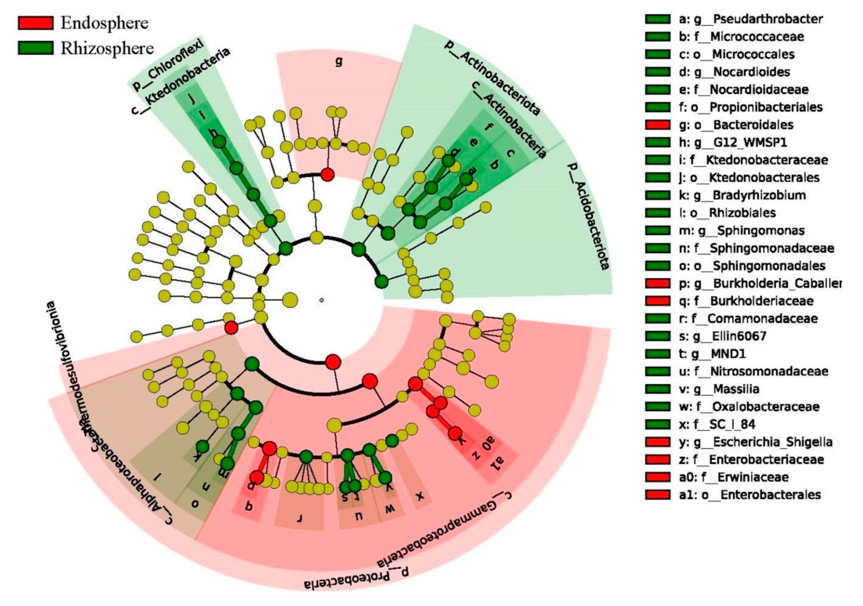 Microorganisms 09 01689 g006 550