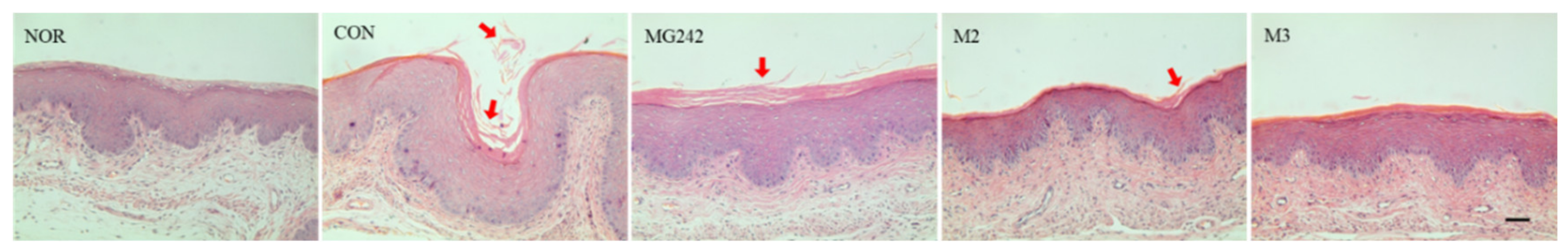 Microorganisms 09 01690 g003