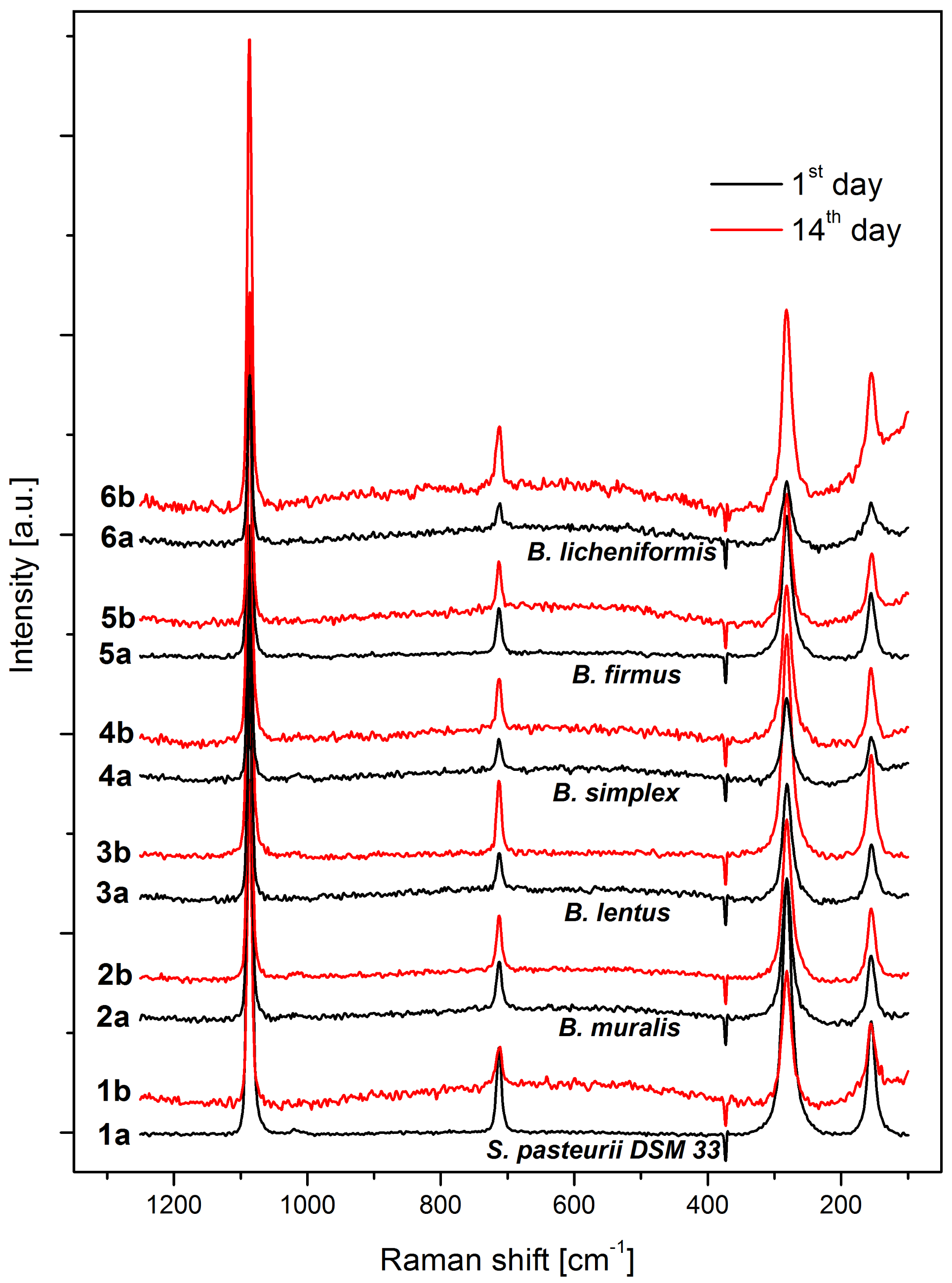 Microorganisms 09 01691 g008 Microorganisms 09 01691 g008