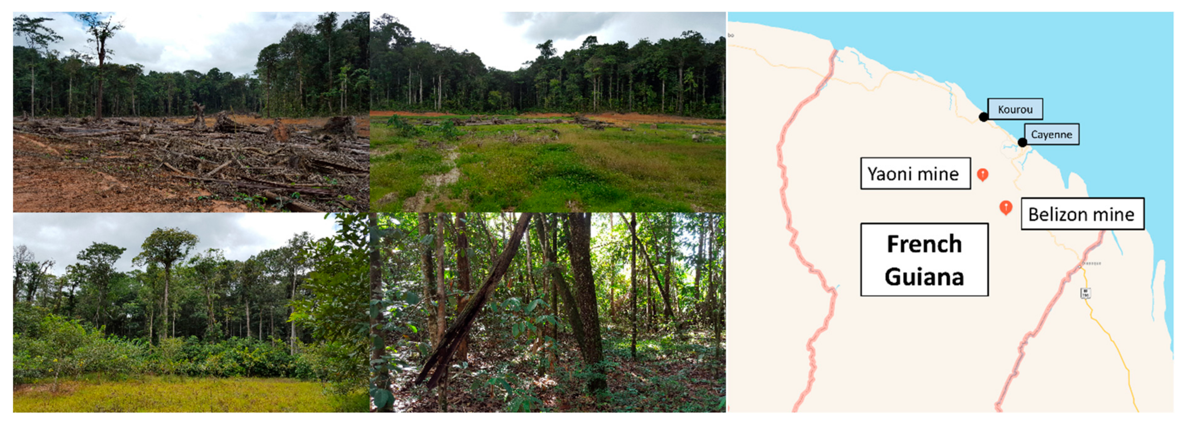 Microorganisms 09 01702 g001 550