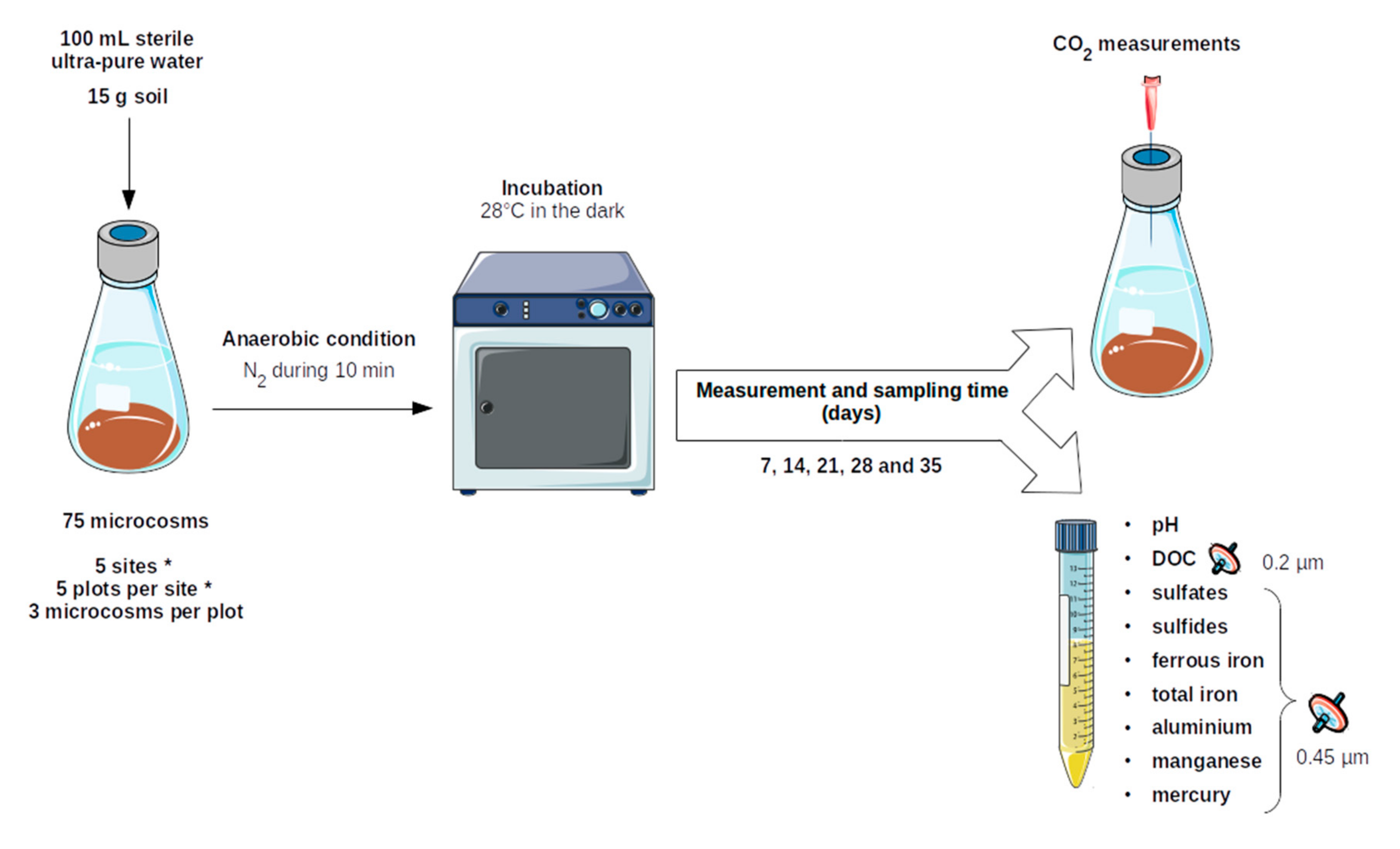 Microorganisms 09 01702 g002 550