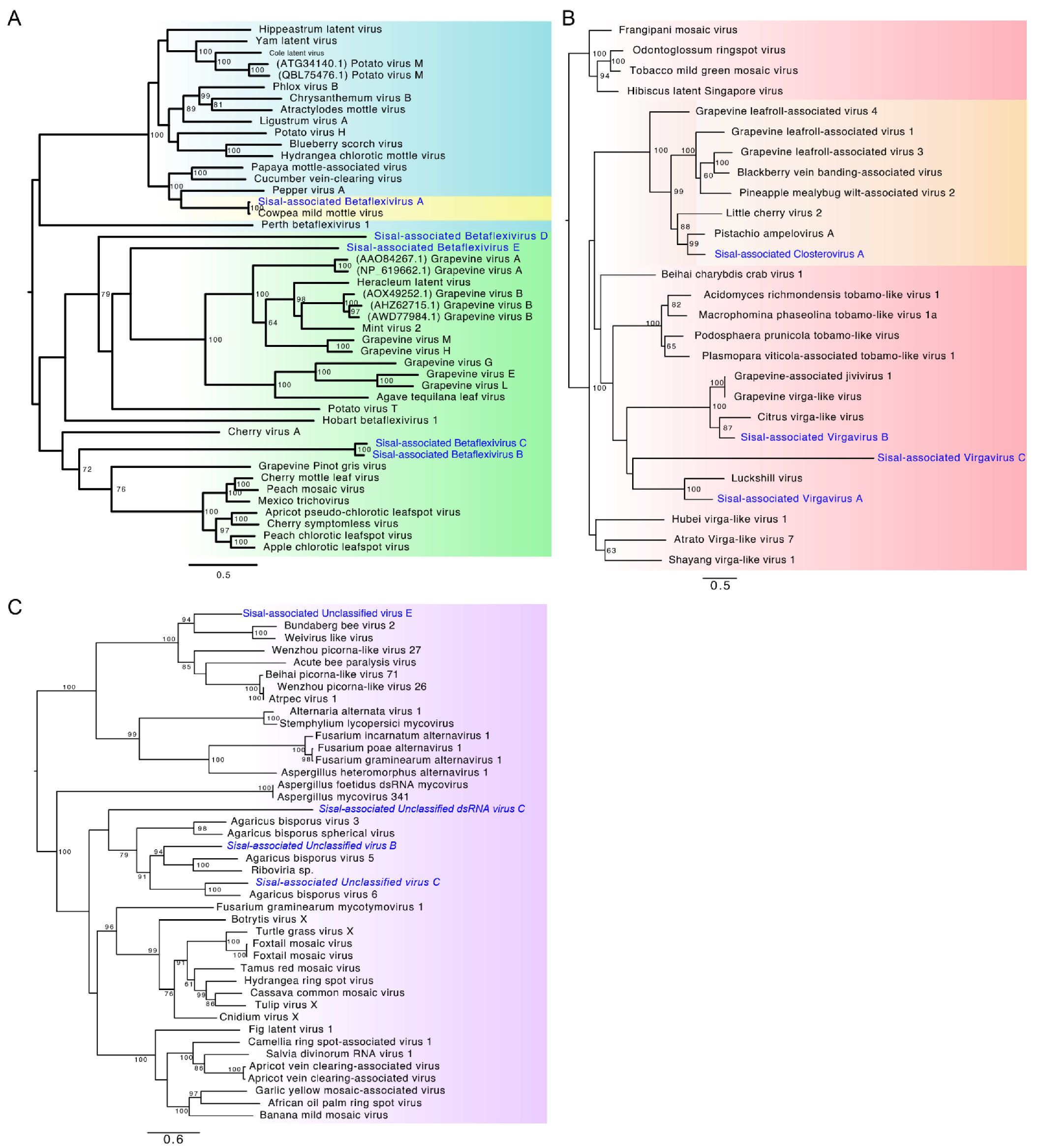 Microorganisms 09 01704 g003