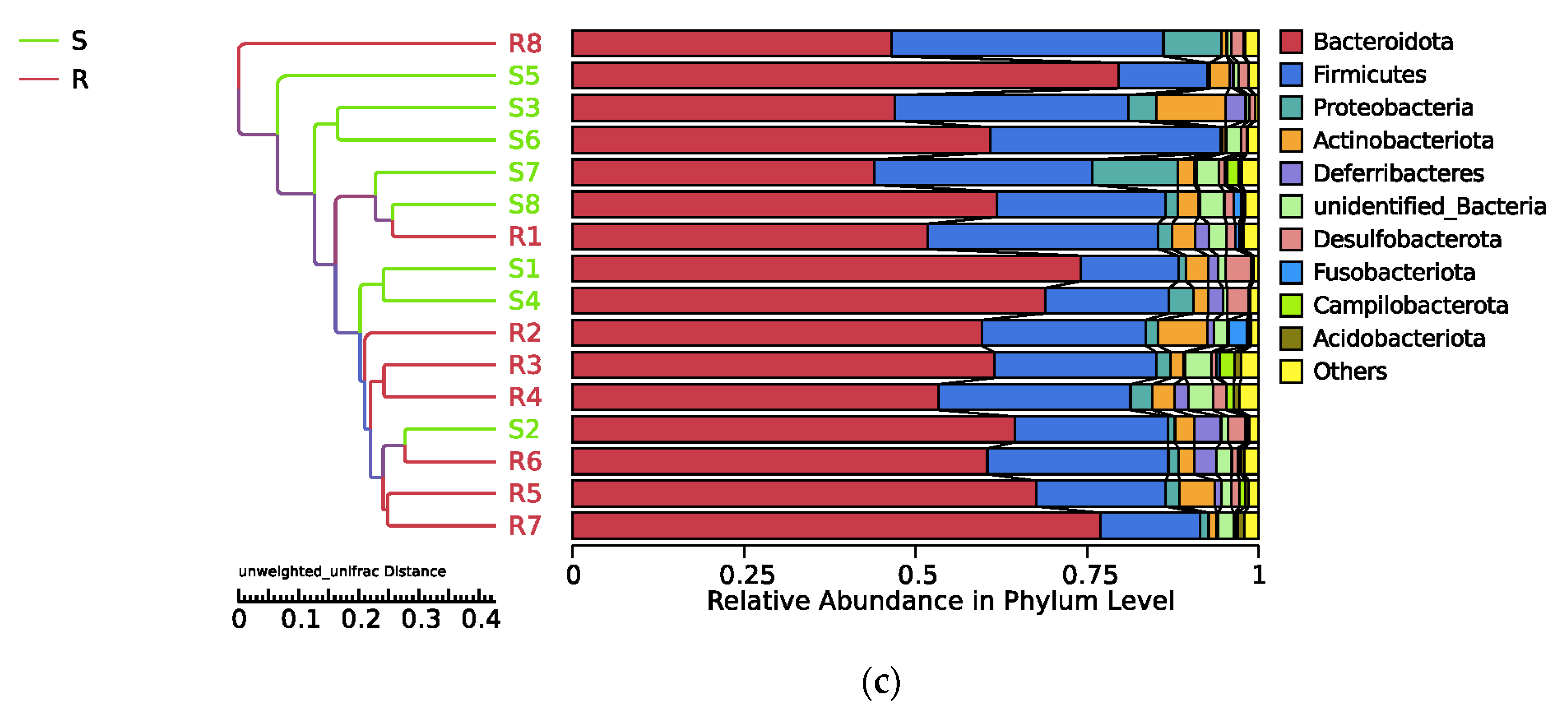 Microorganisms 09 01705 g003b
