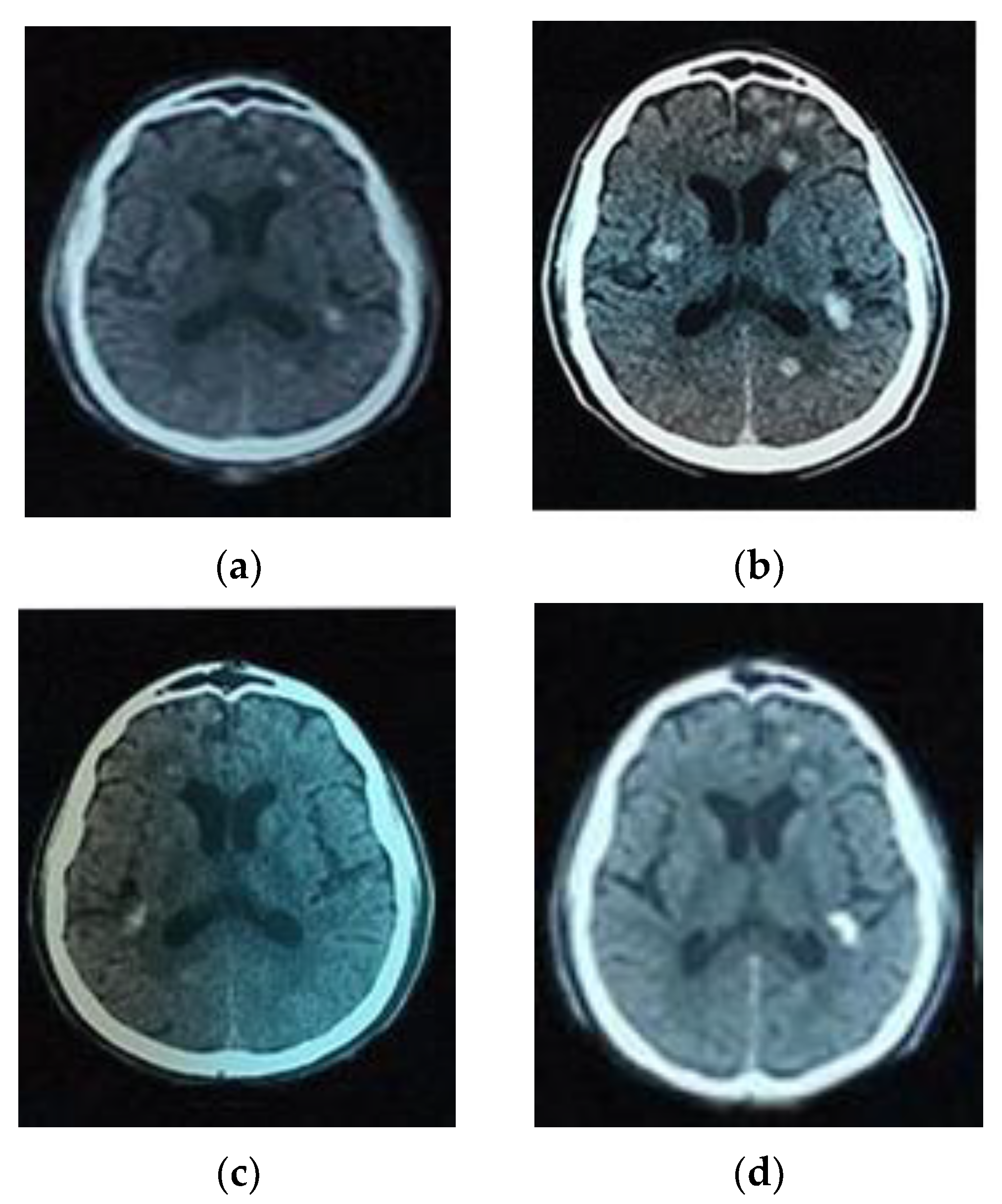 Microorganisms 09 01712 g001