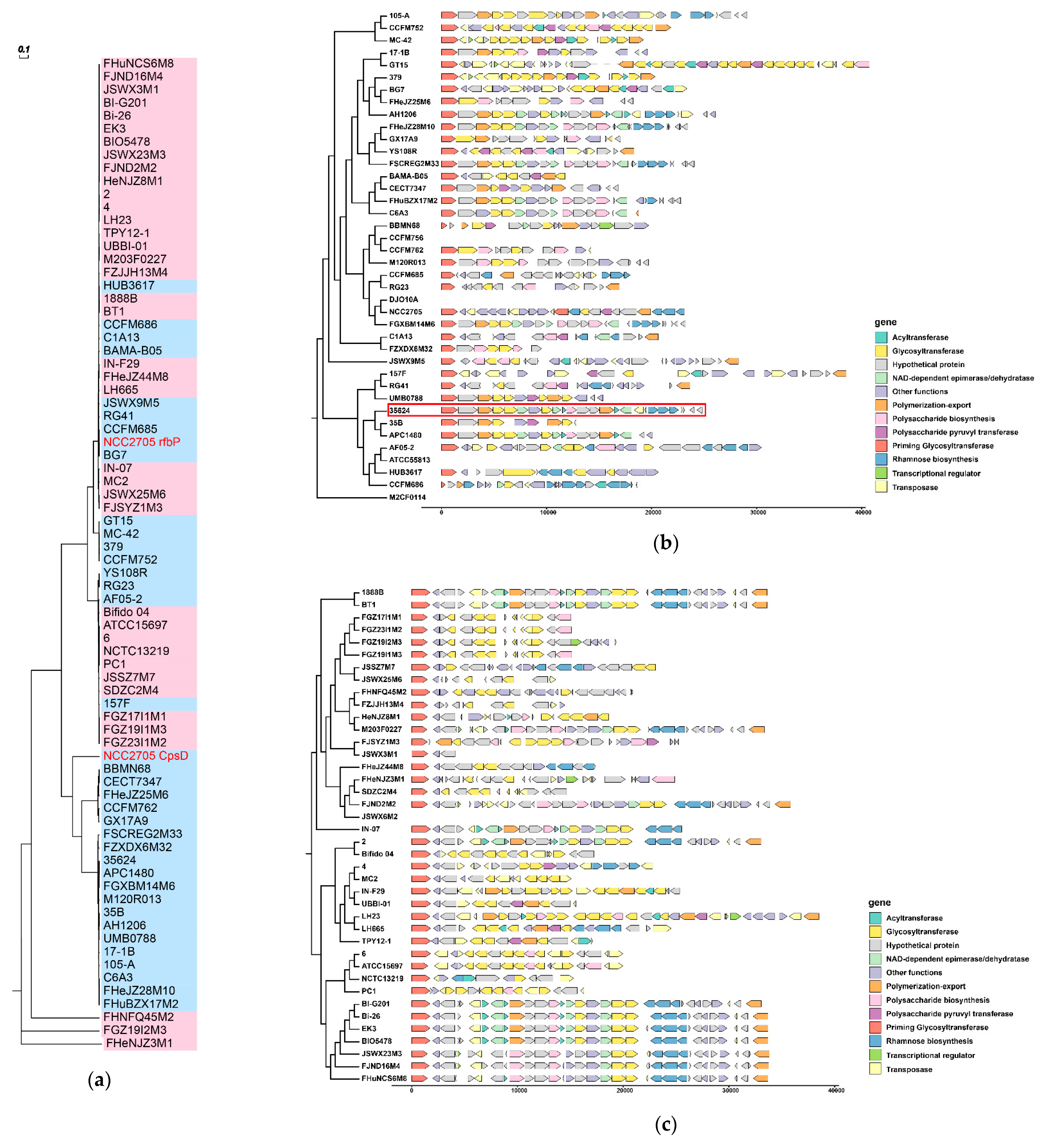 Microorganisms 09 01713 g006