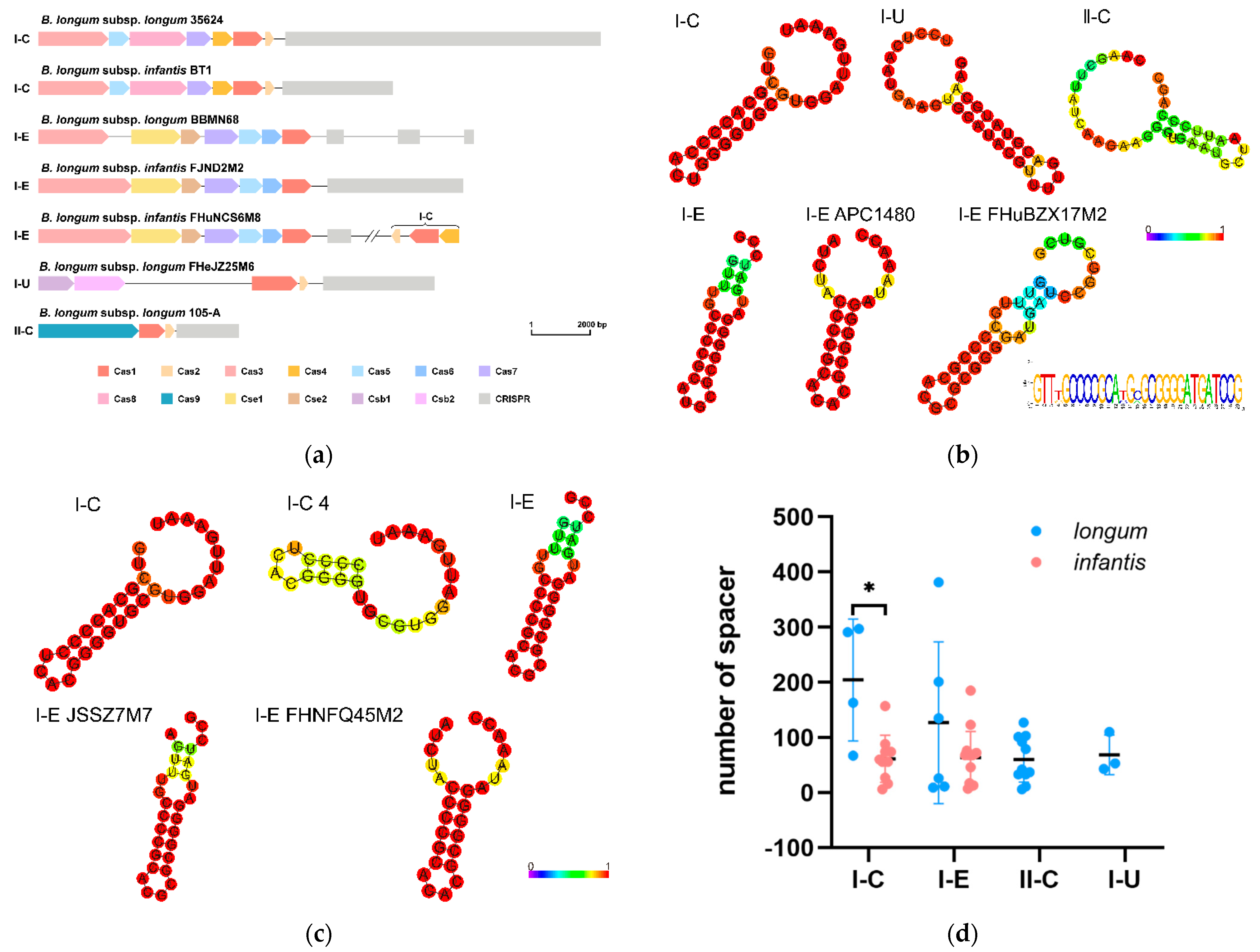 Microorganisms 09 01713 g007