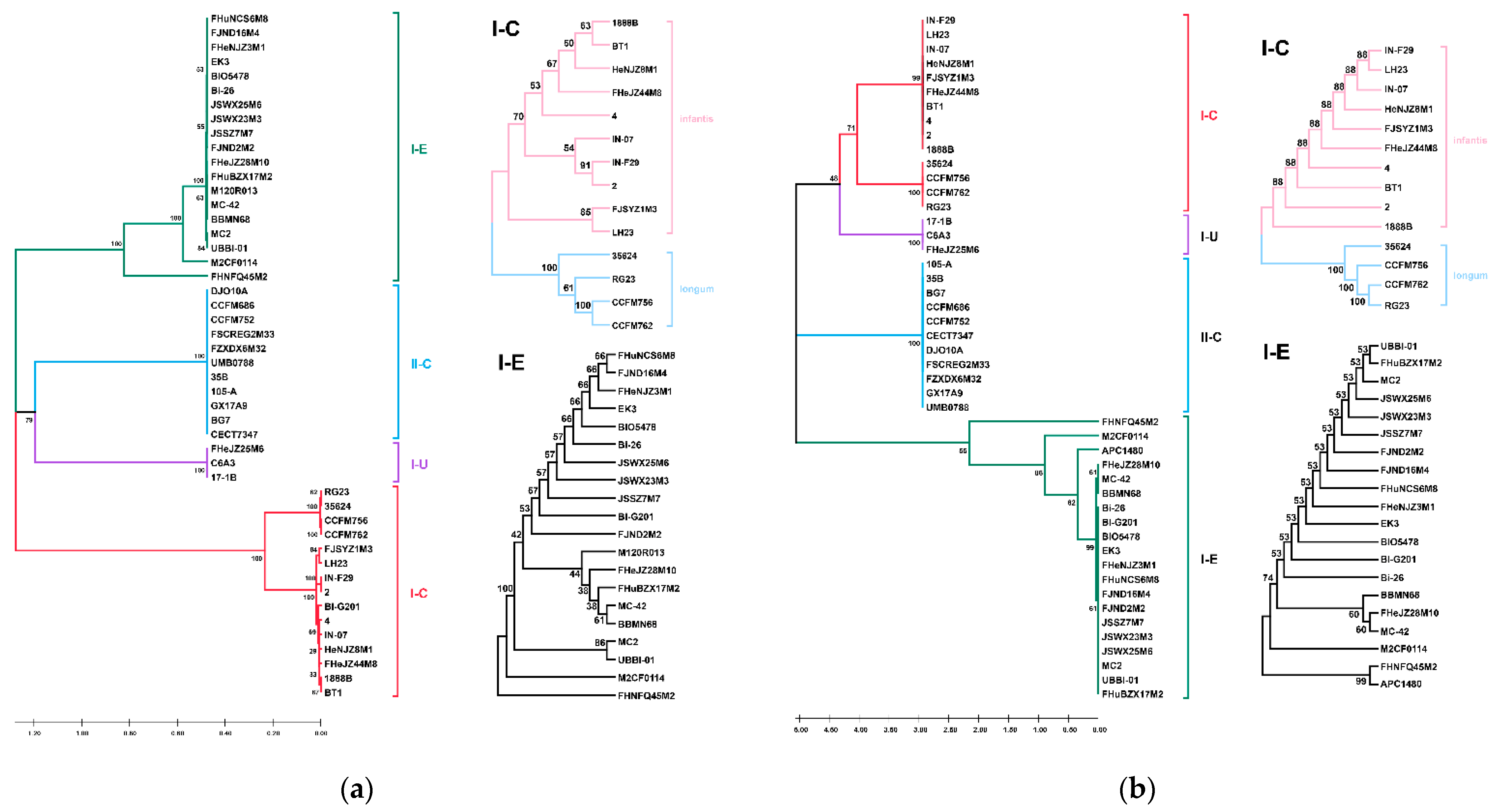 Microorganisms 09 01713 g008