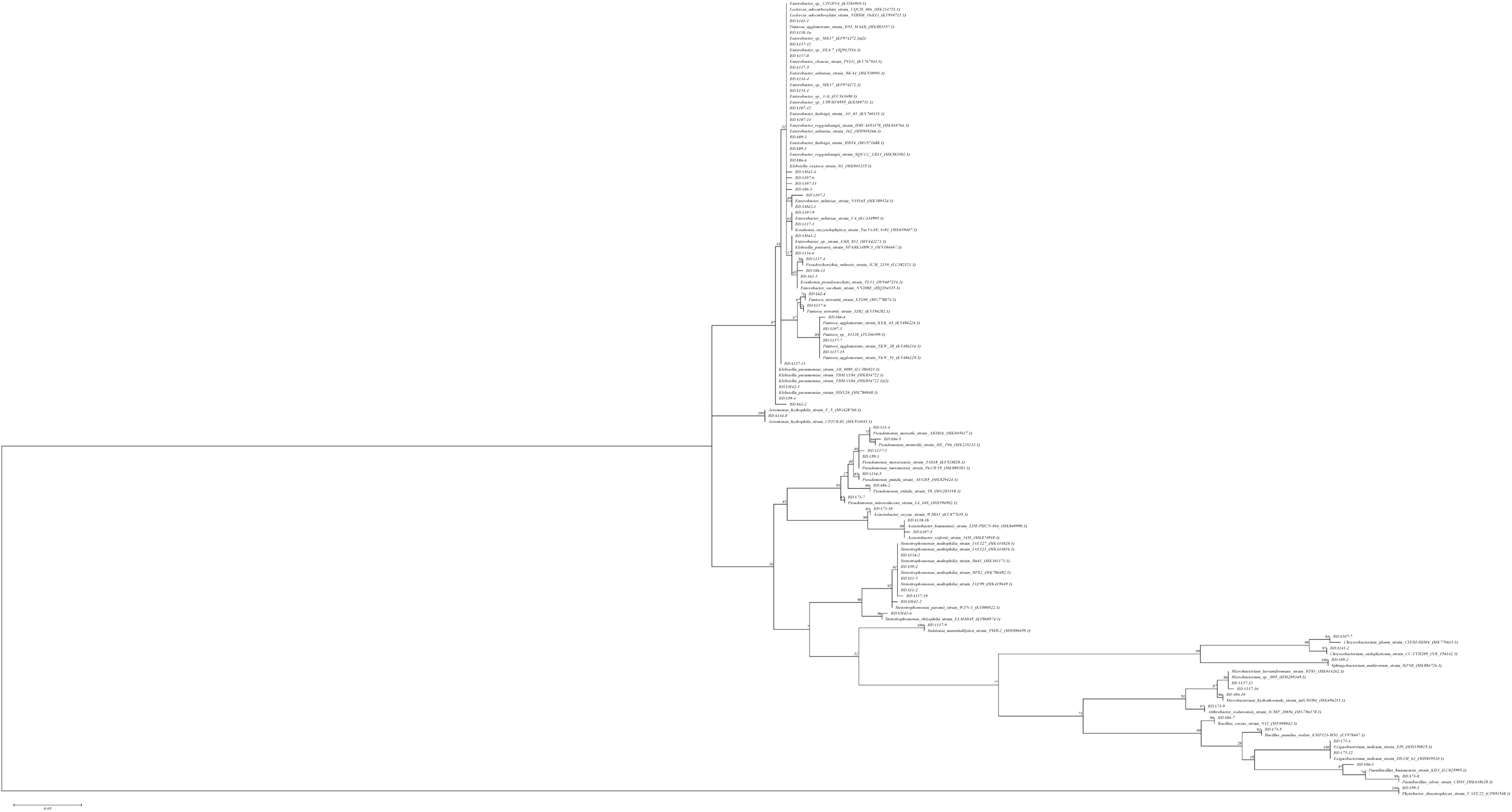 Microorganisms 09 01714 g001