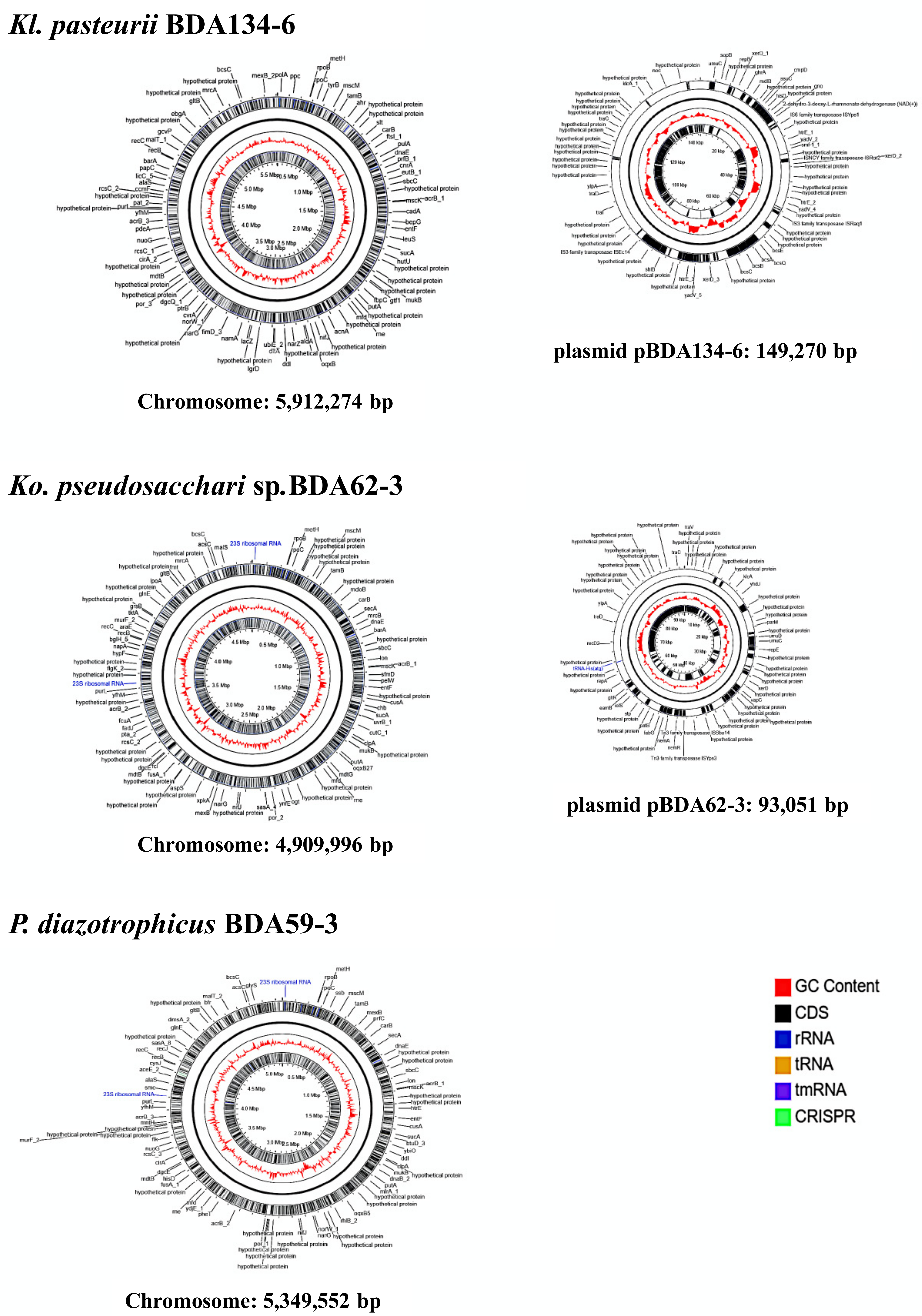 Microorganisms 09 01714 g002