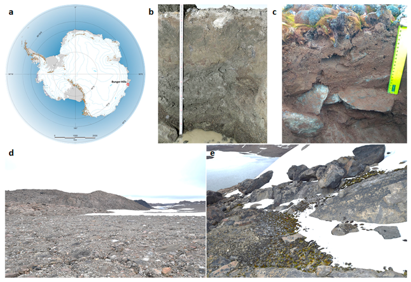 Microorganisms 09 01728 g001 Microorganisms 09 01728 g001