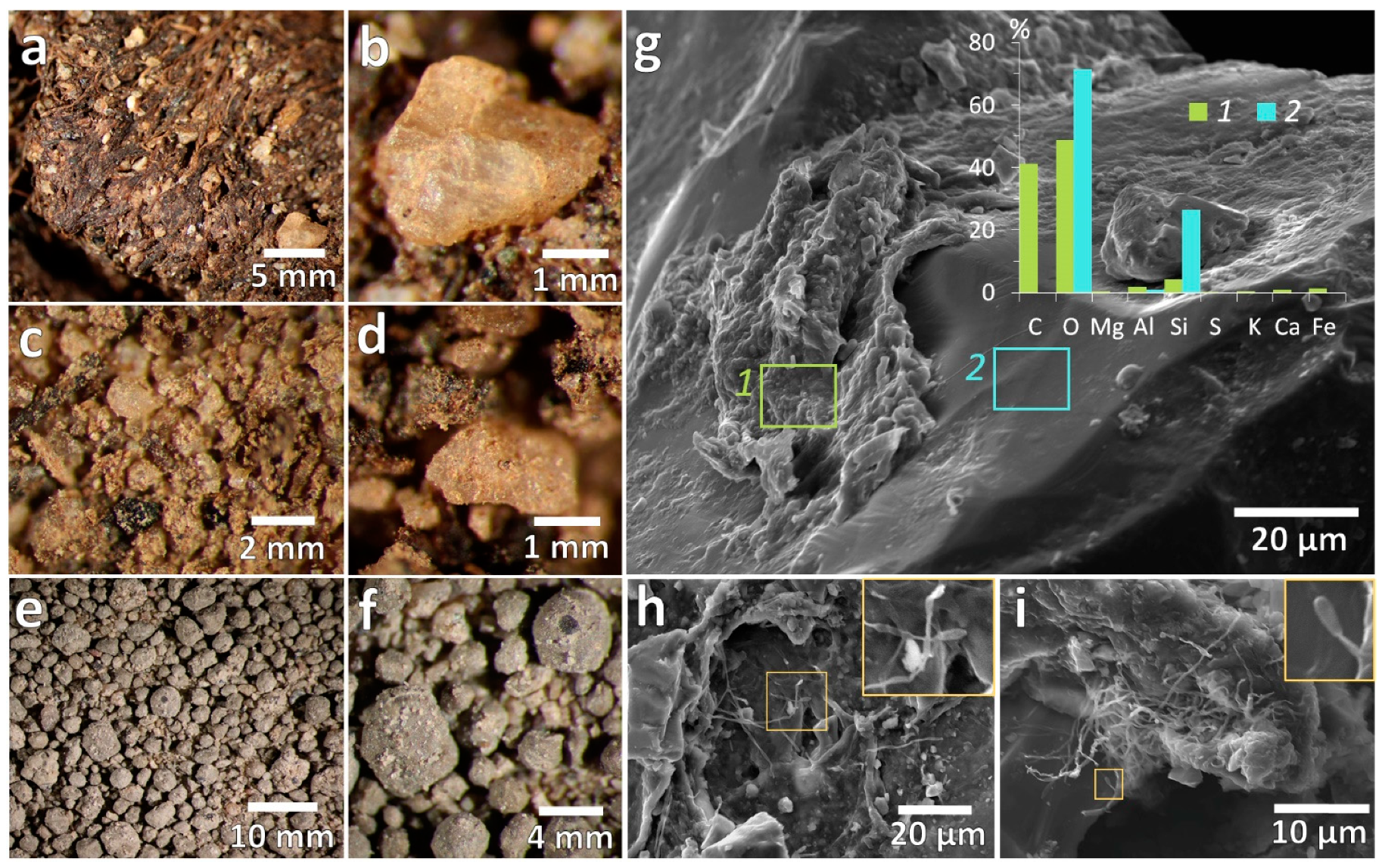 Microorganisms 09 01728 g002 Microorganisms 09 01728 g002