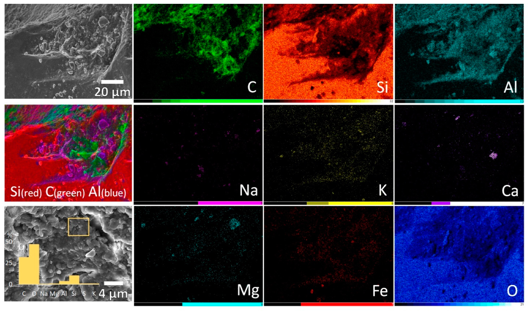 Microorganisms 09 01728 g003 Microorganisms 09 01728 g003