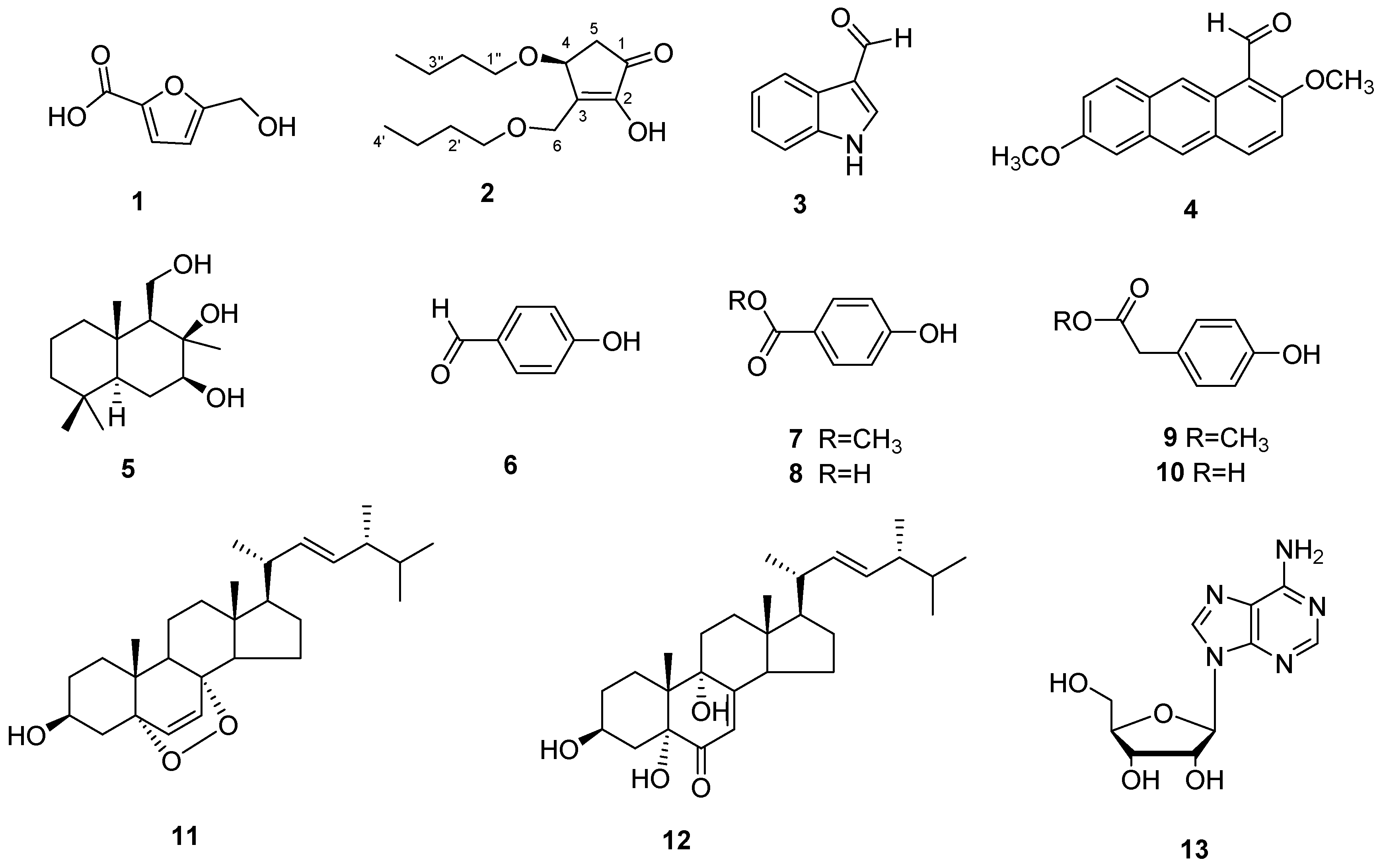 Microorganisms 09 01735 g004