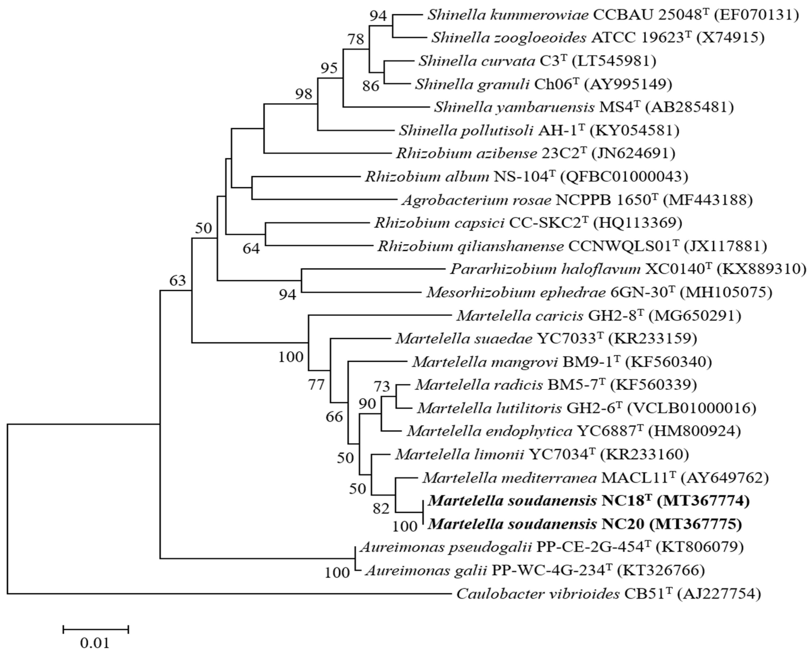 Microorganisms 09 01736 g001