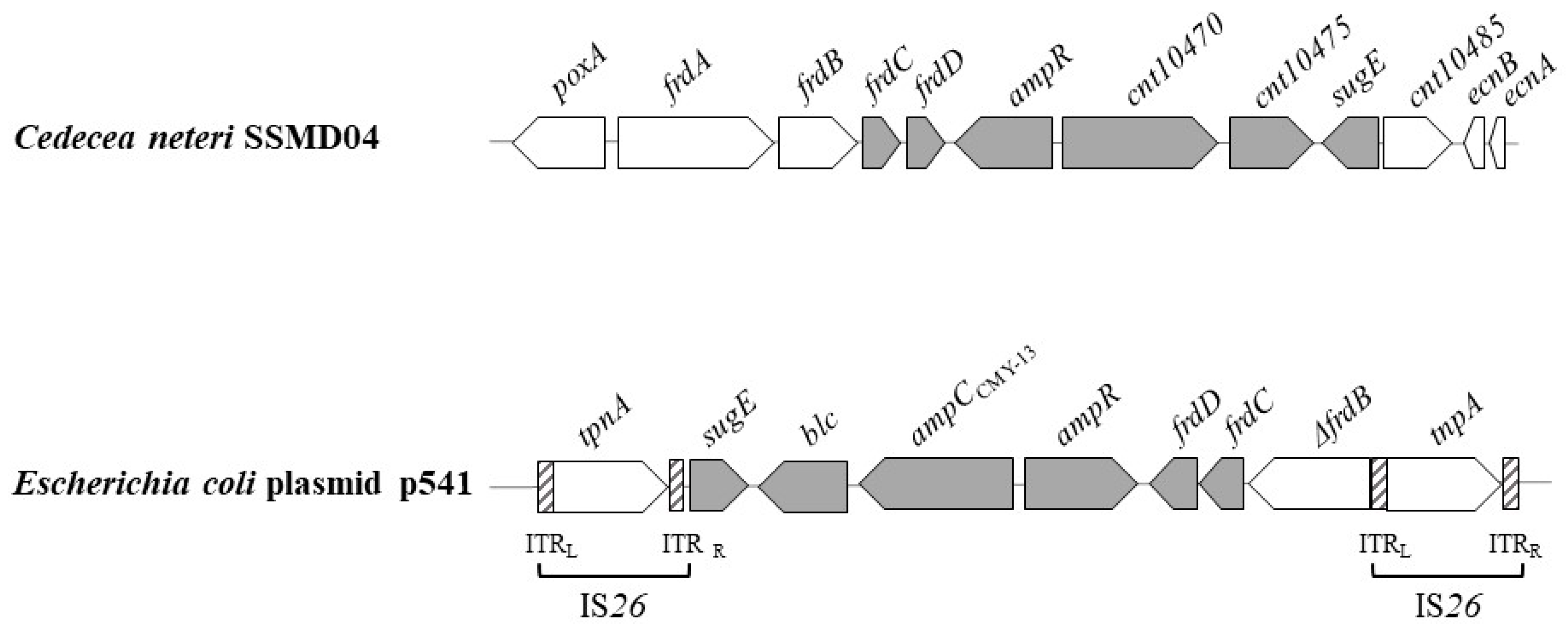Microorganisms 09 01741 g002 Microorganisms 09 01741 g002
