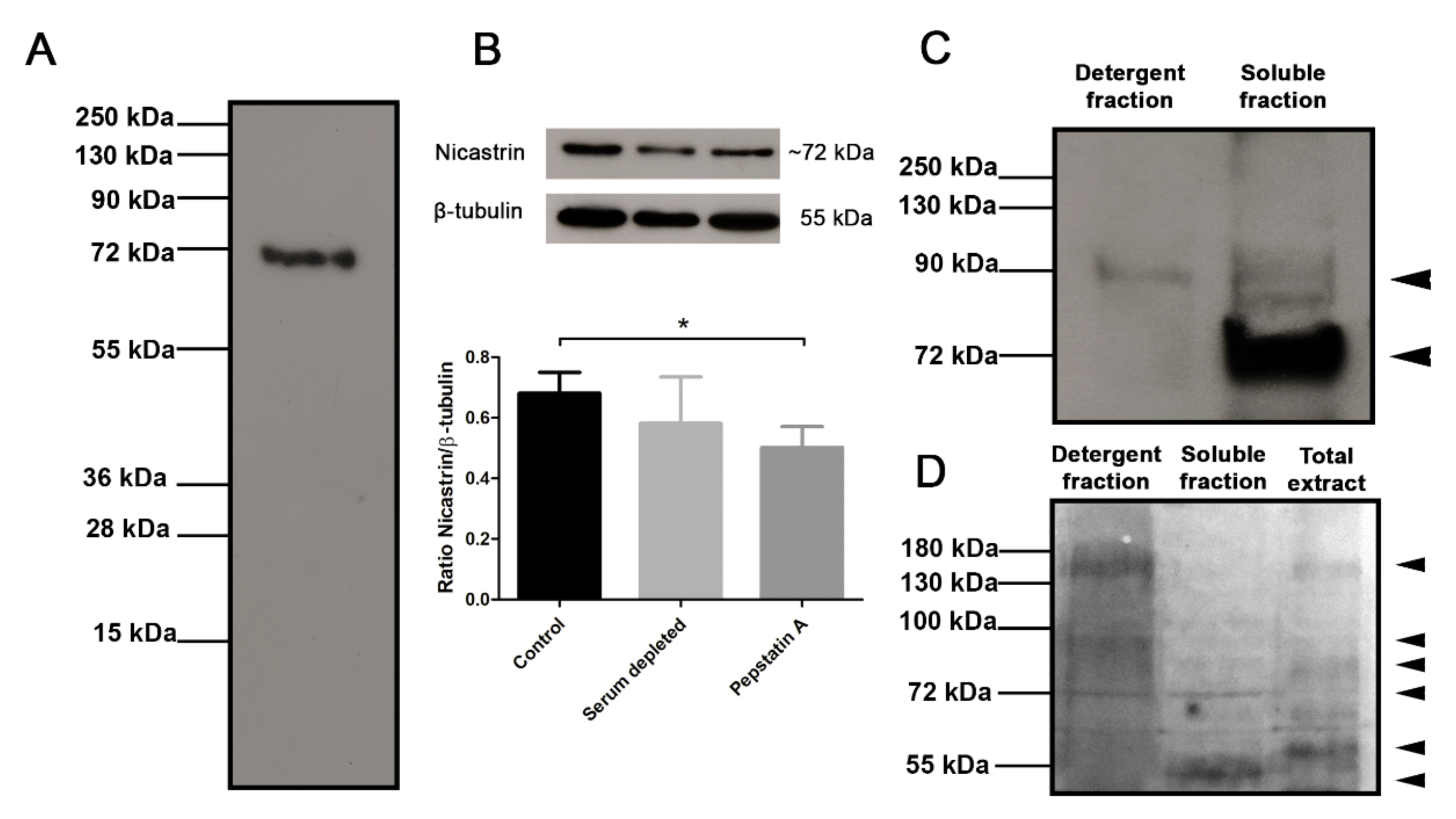 Microorganisms 09 01750 g002
