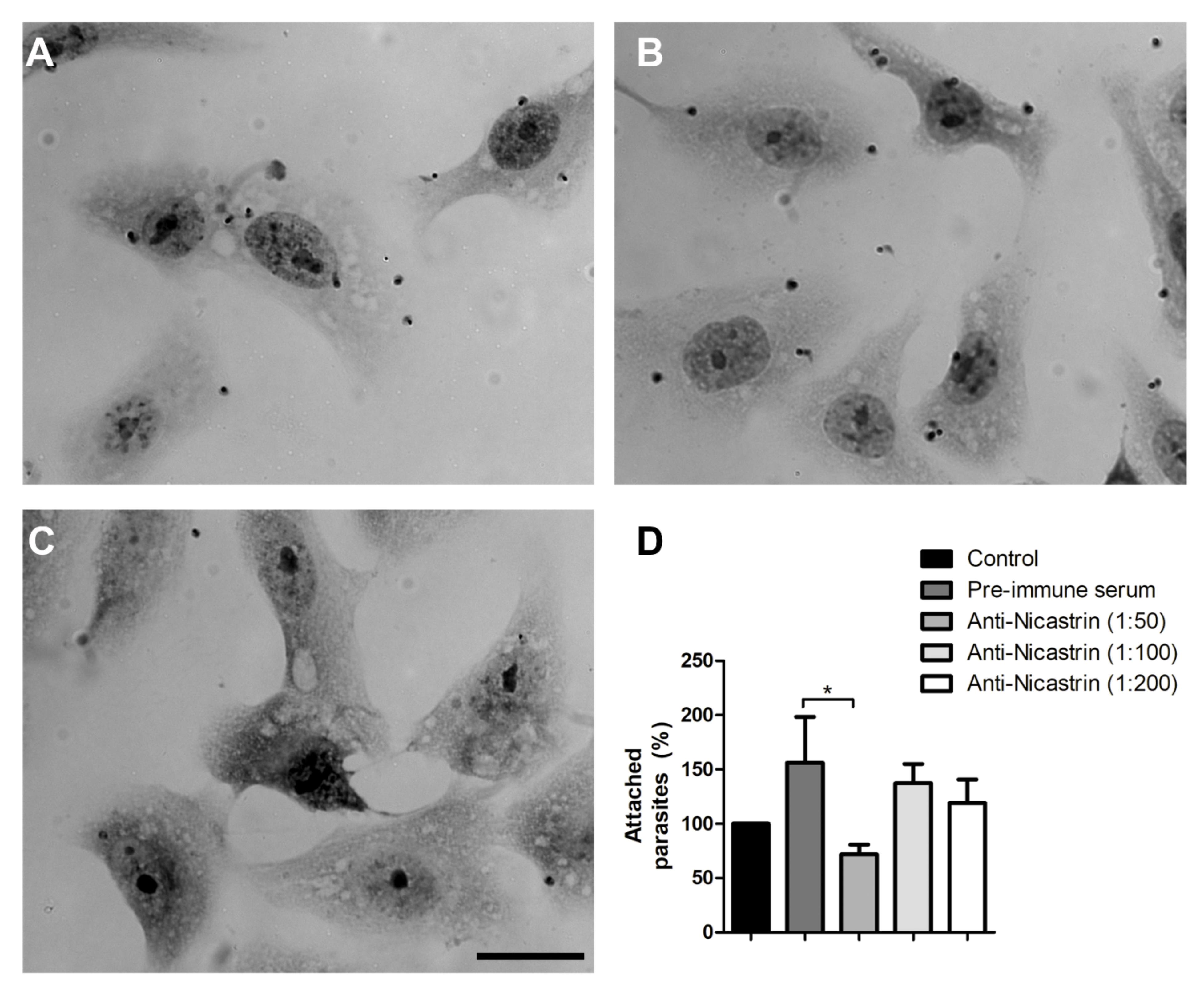 Microorganisms 09 01750 g004