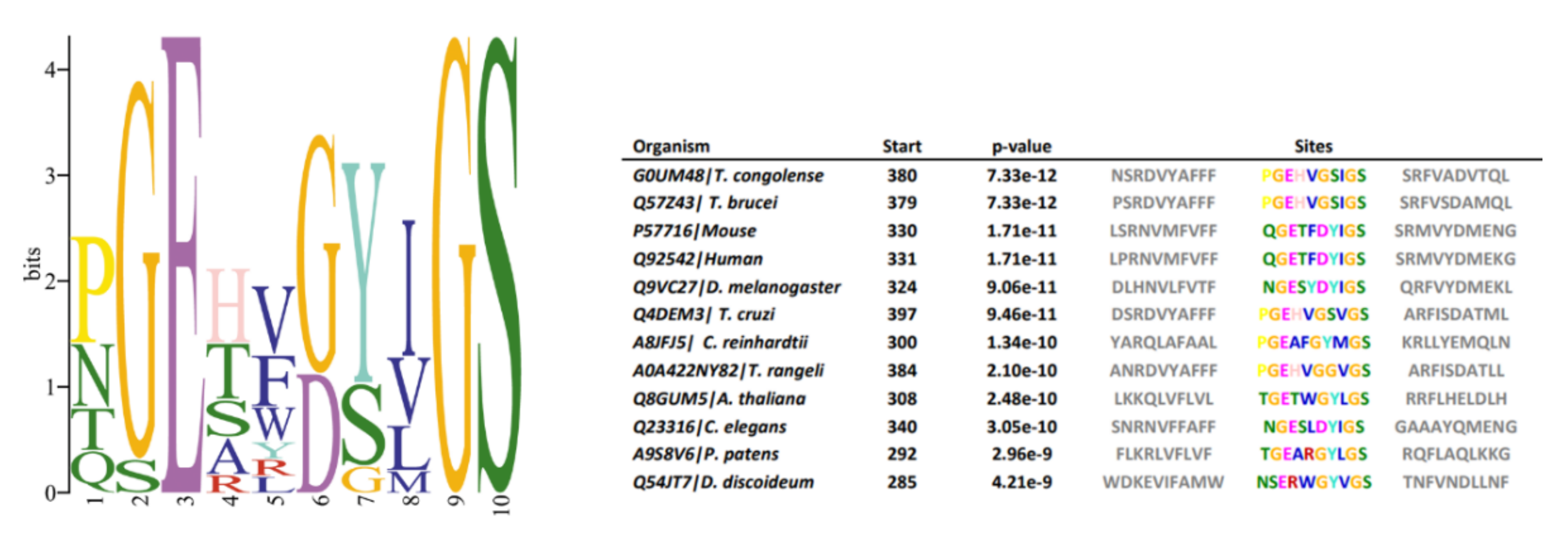 Microorganisms 09 01750 g006