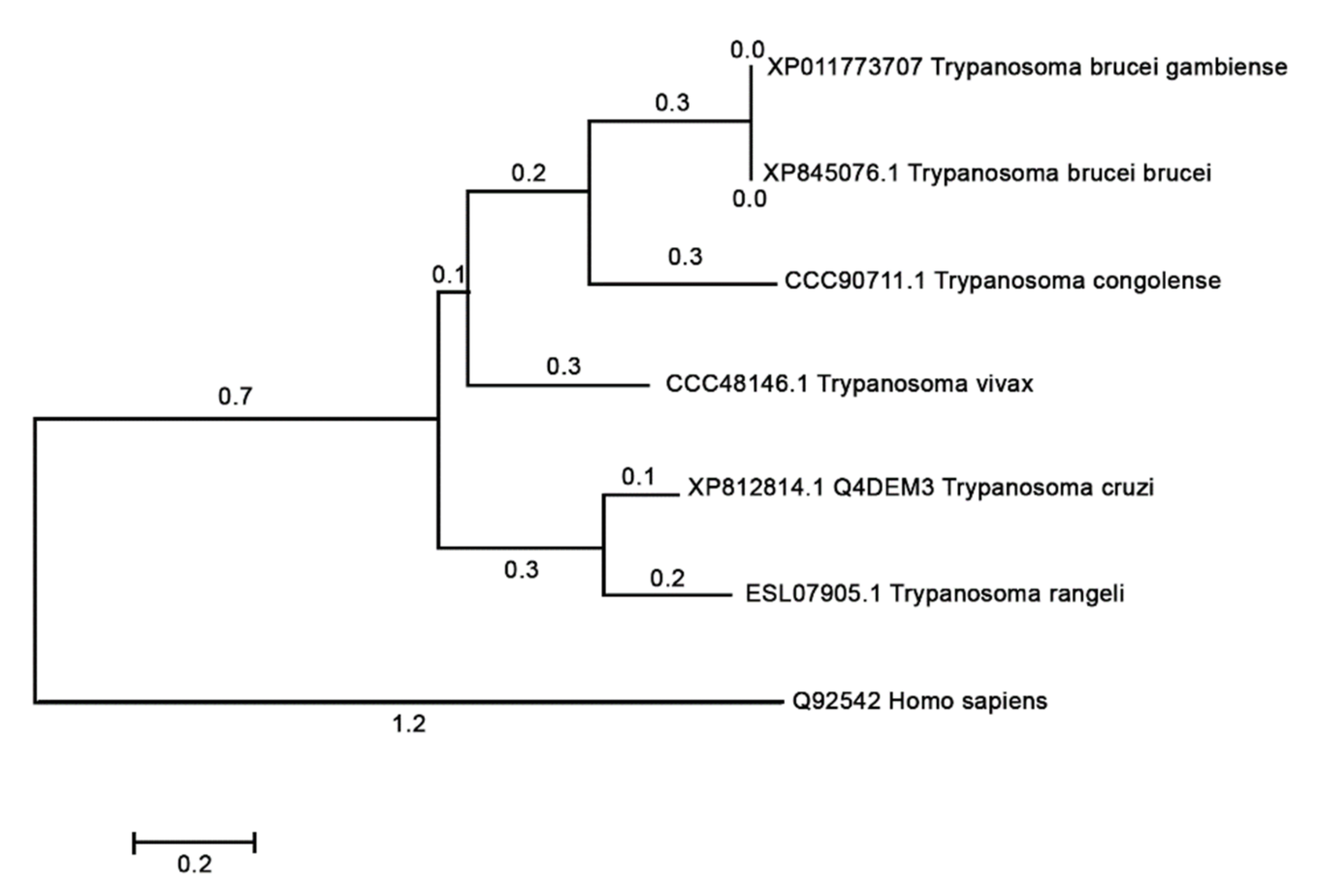 Microorganisms 09 01750 g007