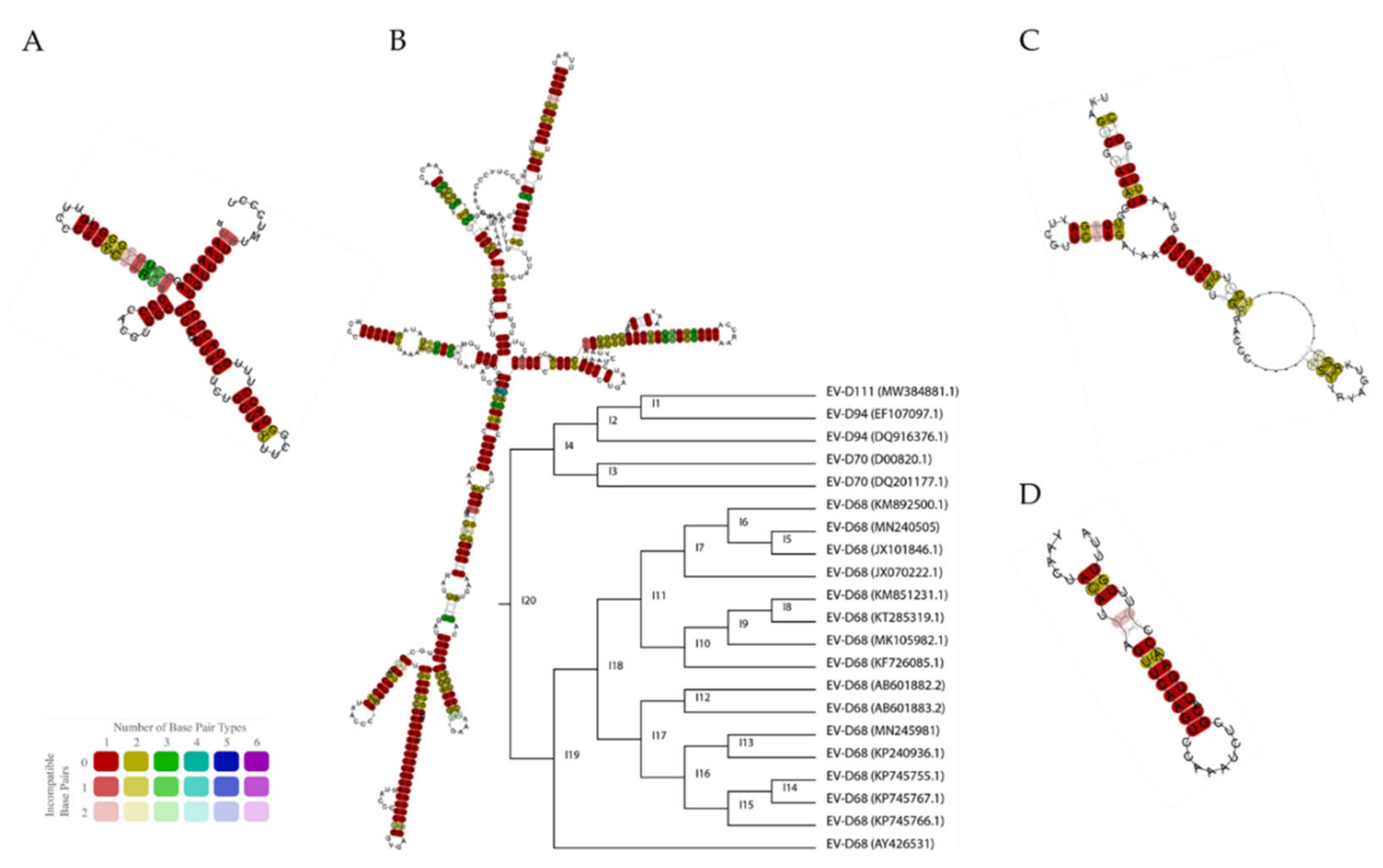 Microorganisms 09 01758 g002