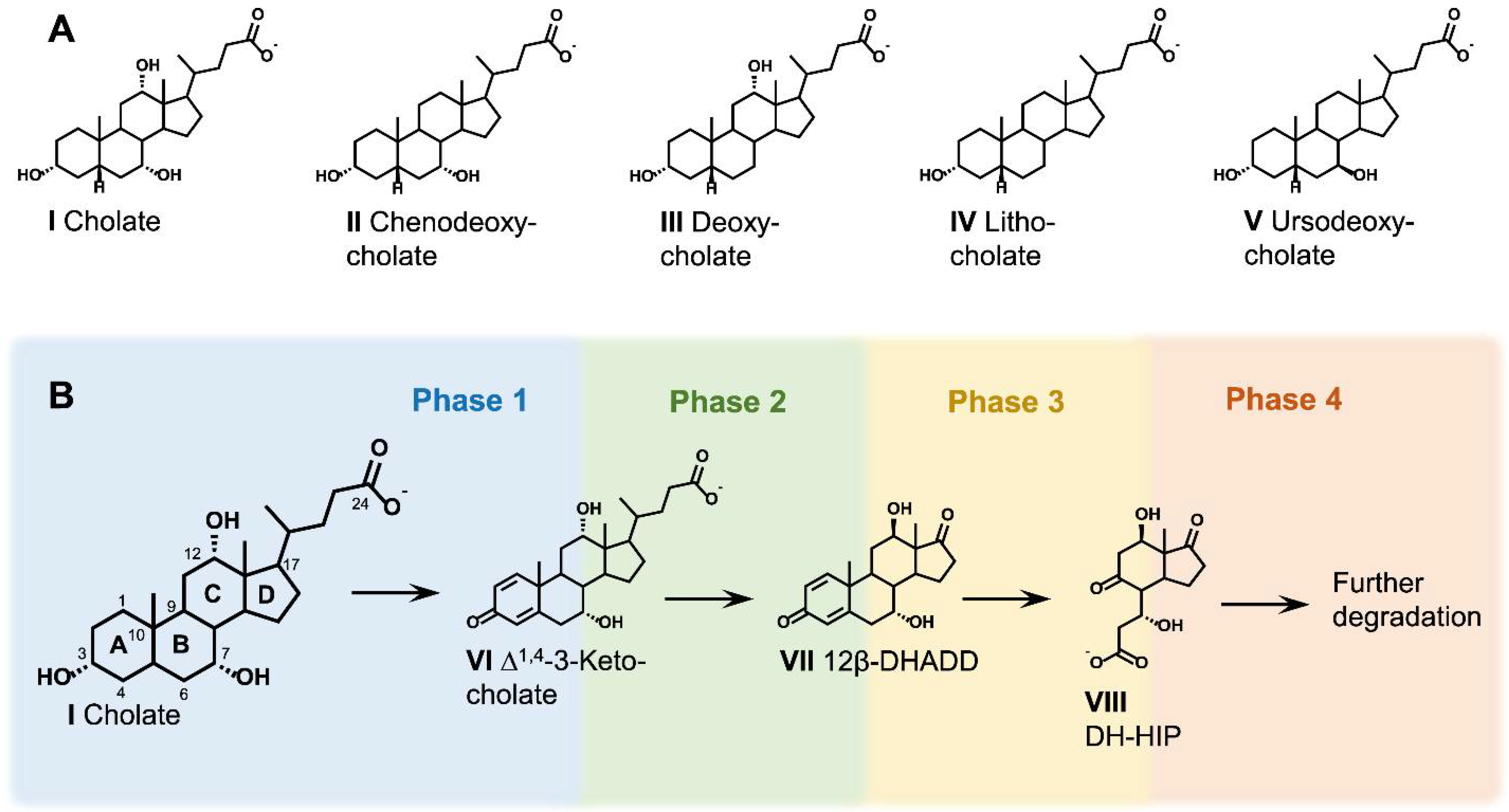Microorganisms 09 01759 g002