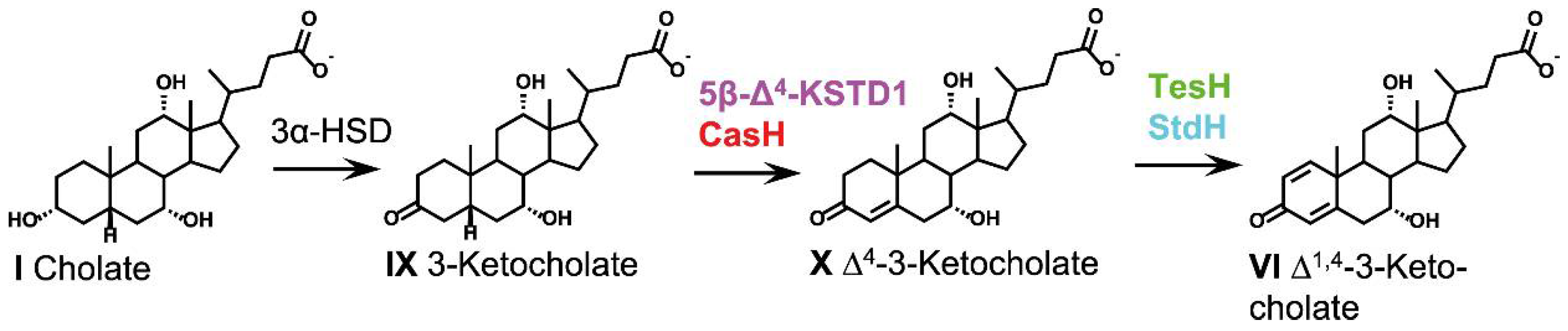 Microorganisms 09 01759 g003
