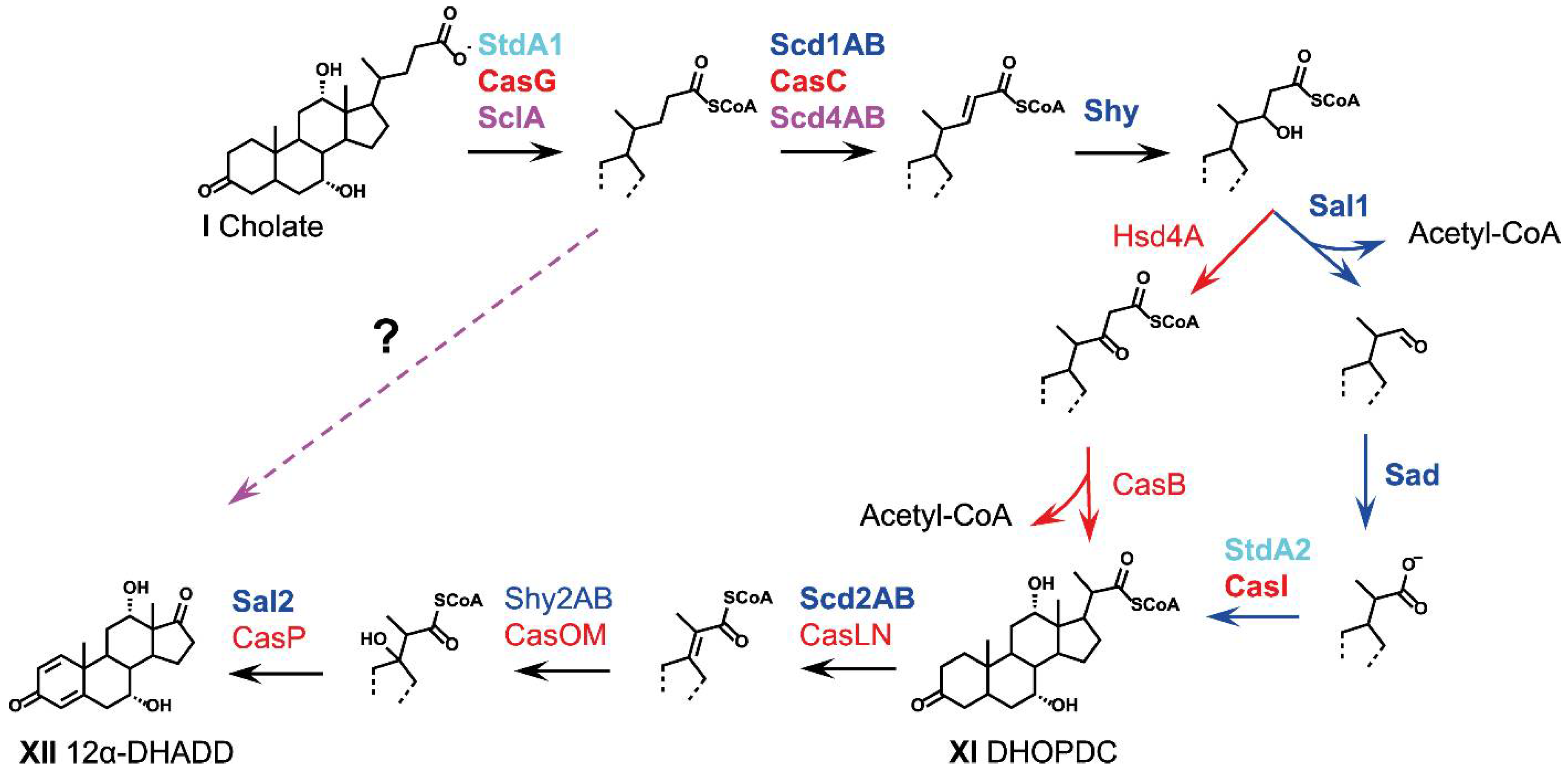 Microorganisms 09 01759 g004