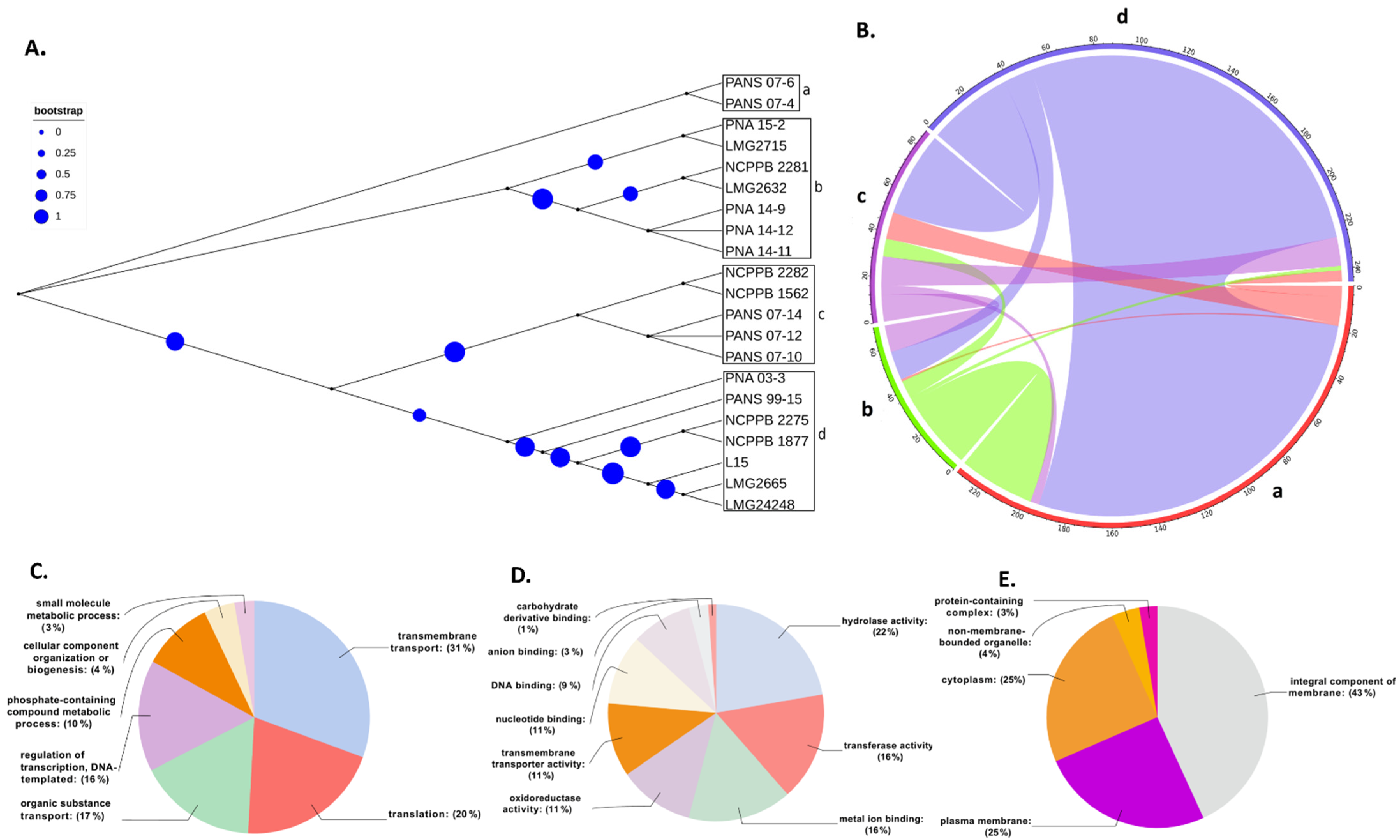 Microorganisms 09 01761 g004 Microorganisms 09 01761 g004