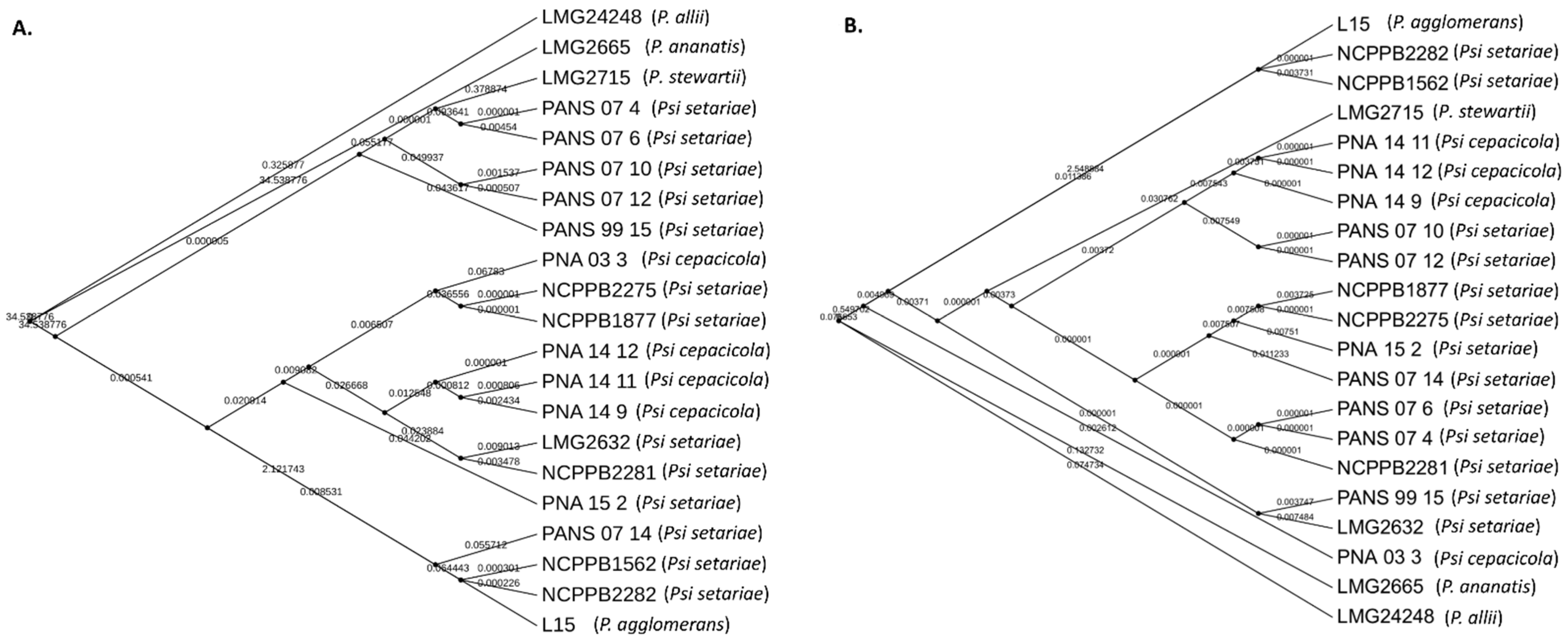Microorganisms 09 01761 g006 Microorganisms 09 01761 g006