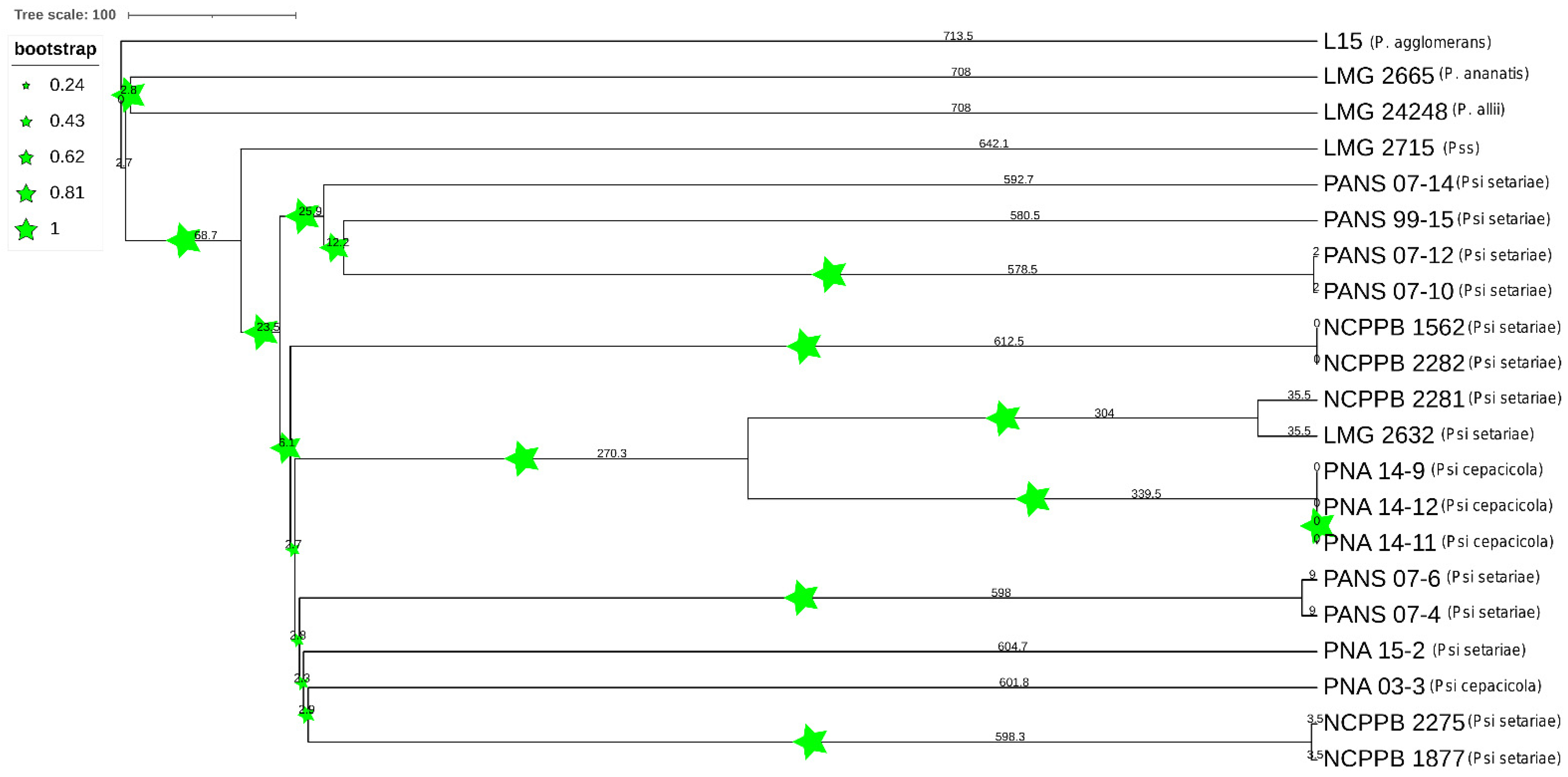 Microorganisms 09 01761 g007 Microorganisms 09 01761 g007