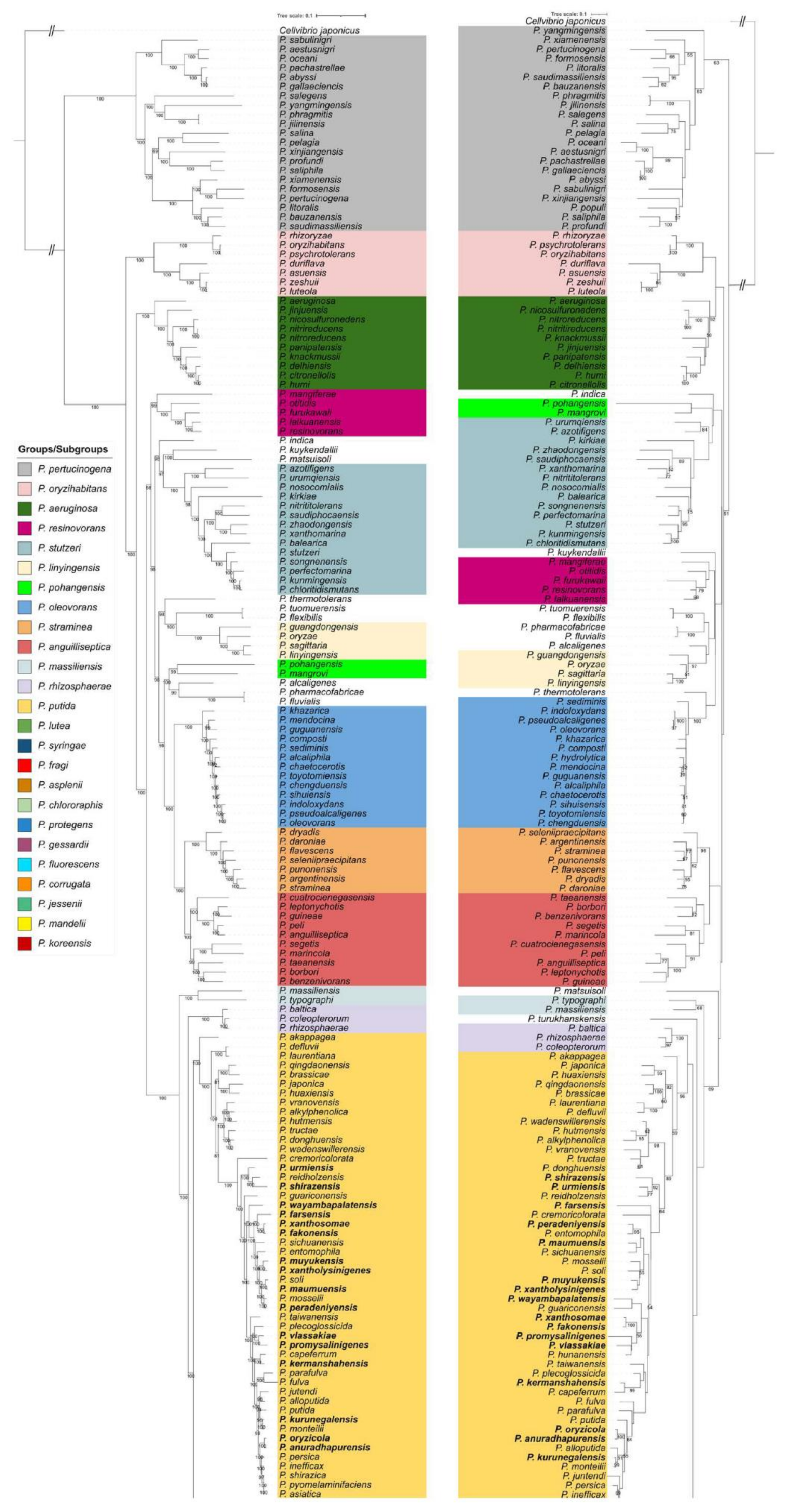 Microorganisms 09 01766 g001a Microorganisms 09 01766 g001a